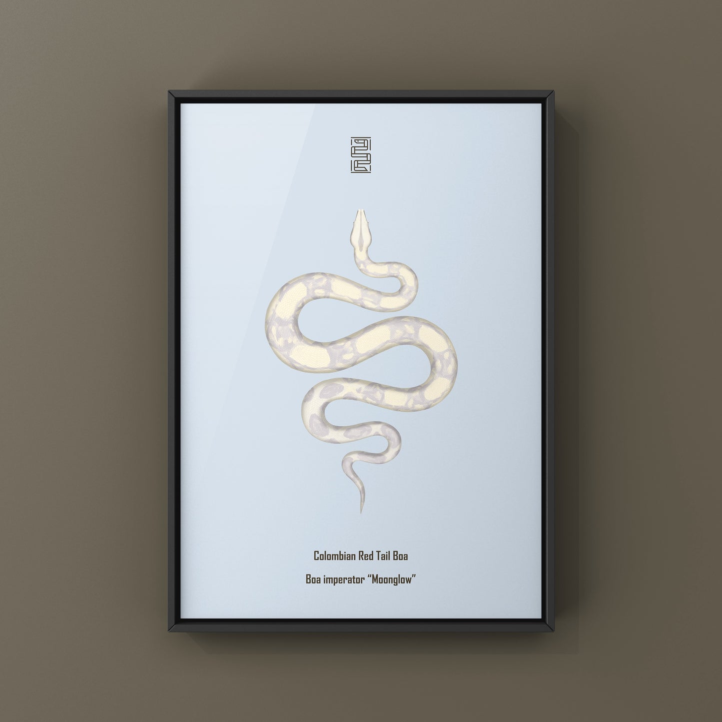 Colorful Moonglow Colombian Red Tail Boa art print showcasing a detailed illustration of the boa imperator's vibrant red tail.