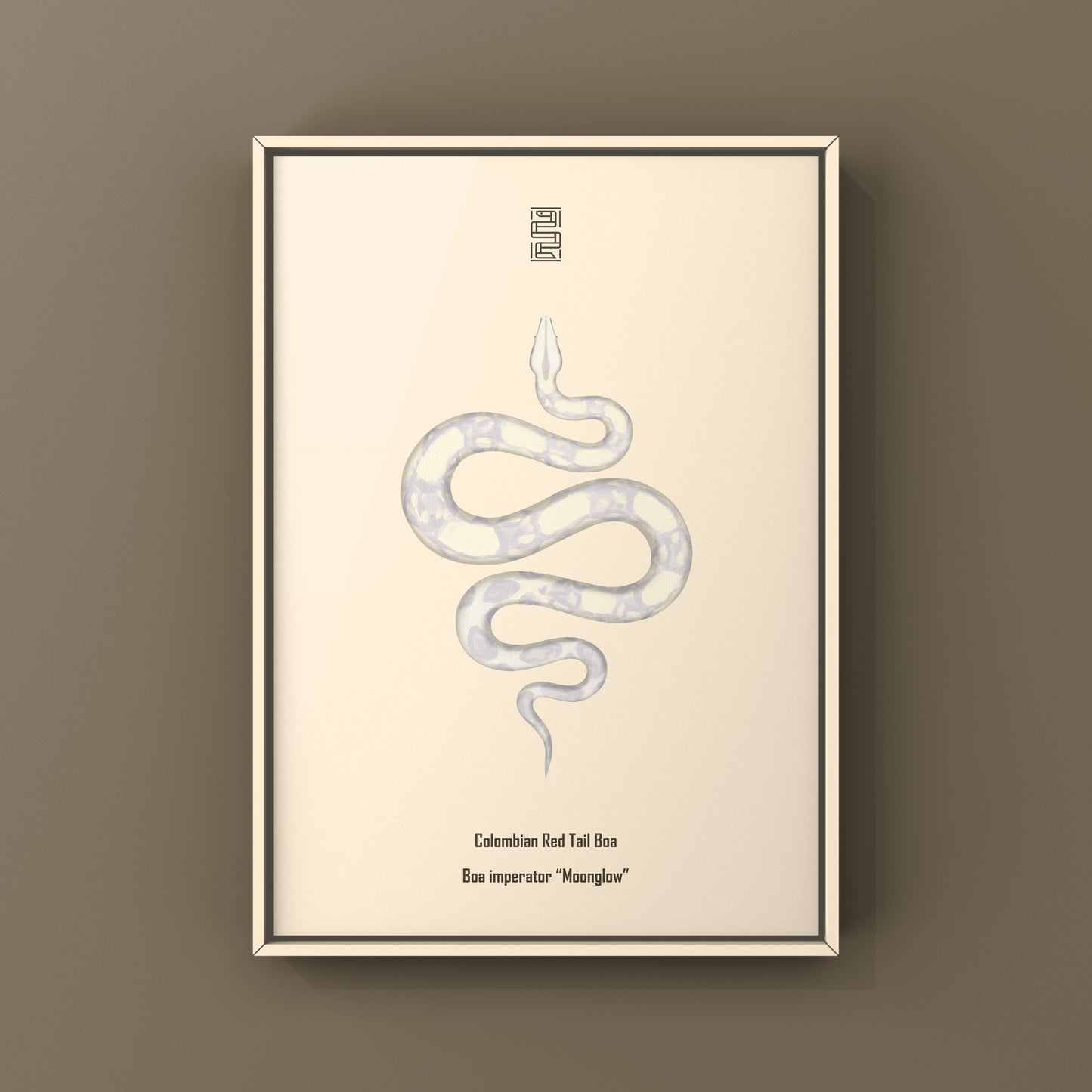 Colombian Red Tail Boa art print featuring vibrant red and brown snake scales, displayed on a neutral background.