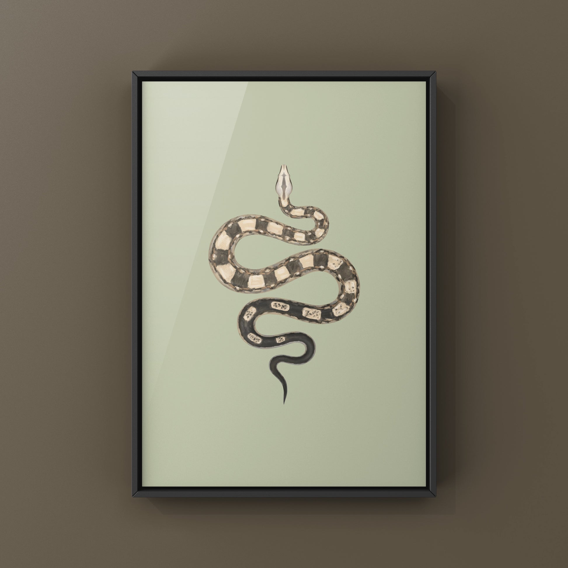 Colorful Motley Colombian Red Tail Boa art print by The Silk Ranch showing detailed boa snake illustration on paper