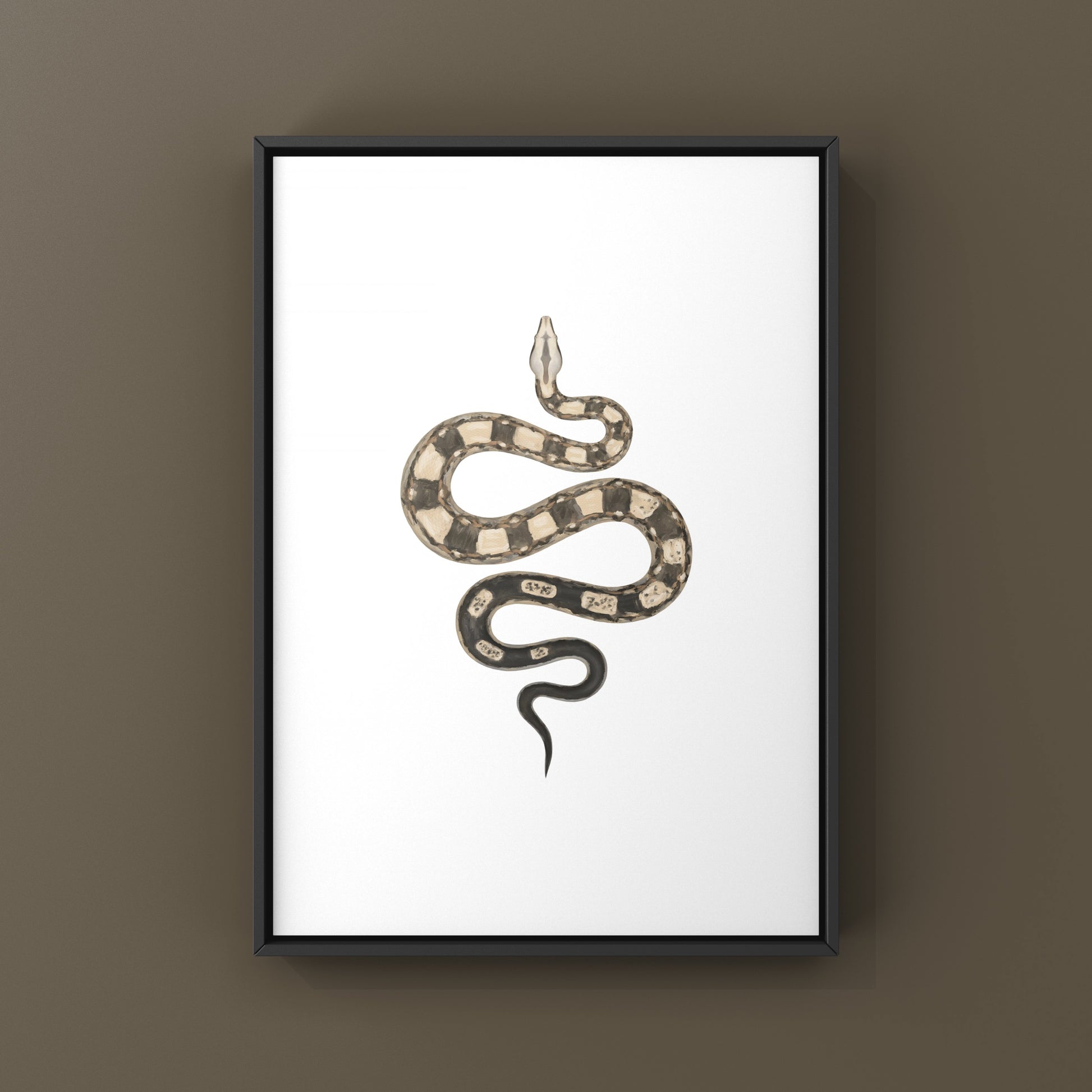 Colorful art print of a Motley Colombian Red Tail Boa (Boa imperator) showcasing vibrant snake details by The Silk Ranch.