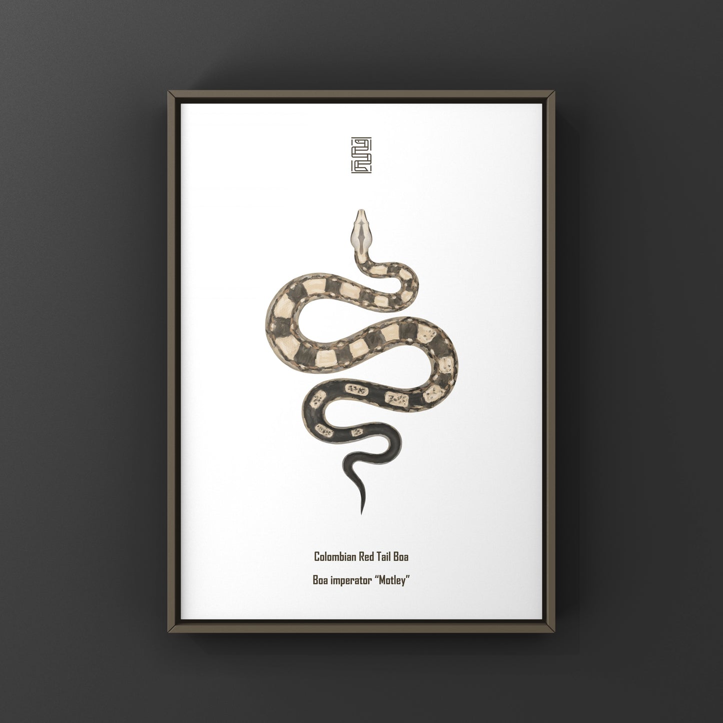Colorful Motley Colombian Red Tail Boa art print by The Silk Ranch showcasing vibrant snake details on high-quality paper.