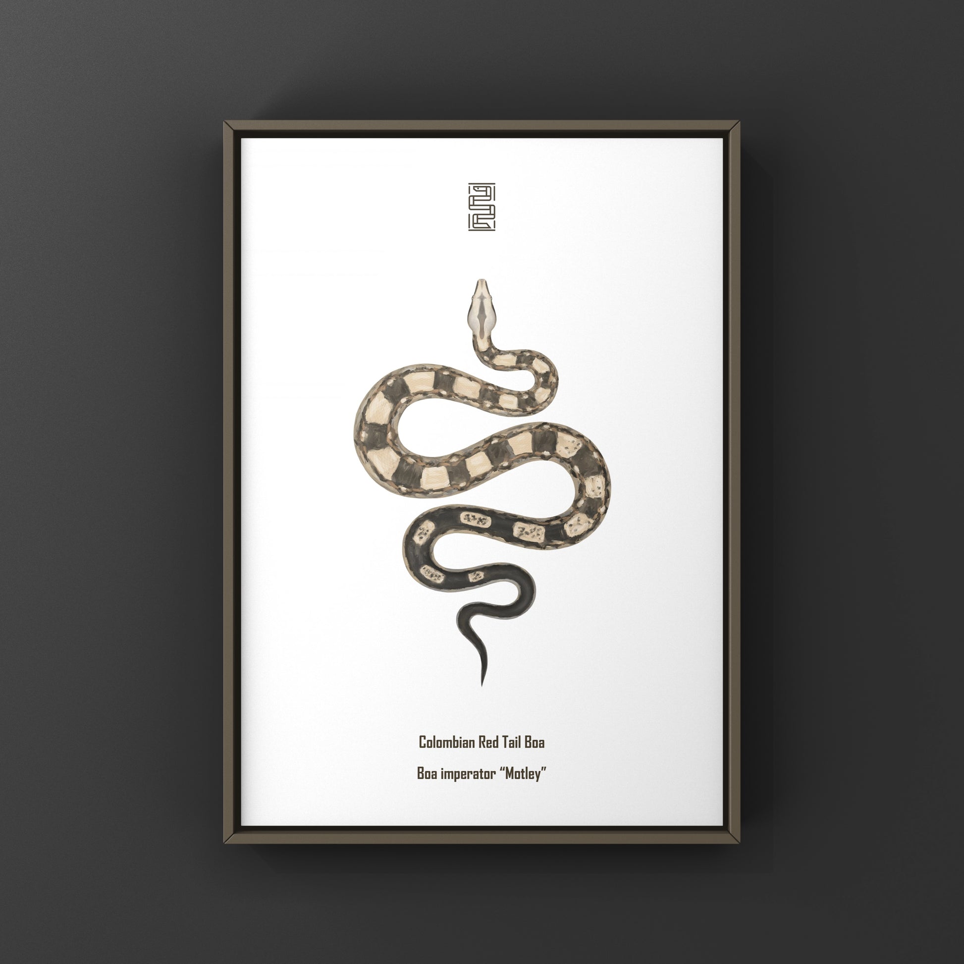Colorful Motley Colombian Red Tail Boa art print by The Silk Ranch showcasing vibrant snake details on high-quality paper.