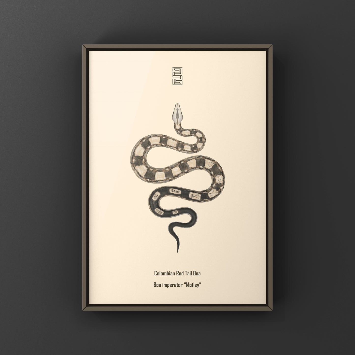 Colorful Motley Colombian Red Tail Boa art print by The Silk Ranch, showcasing detailed red tail boa snake artwork.
