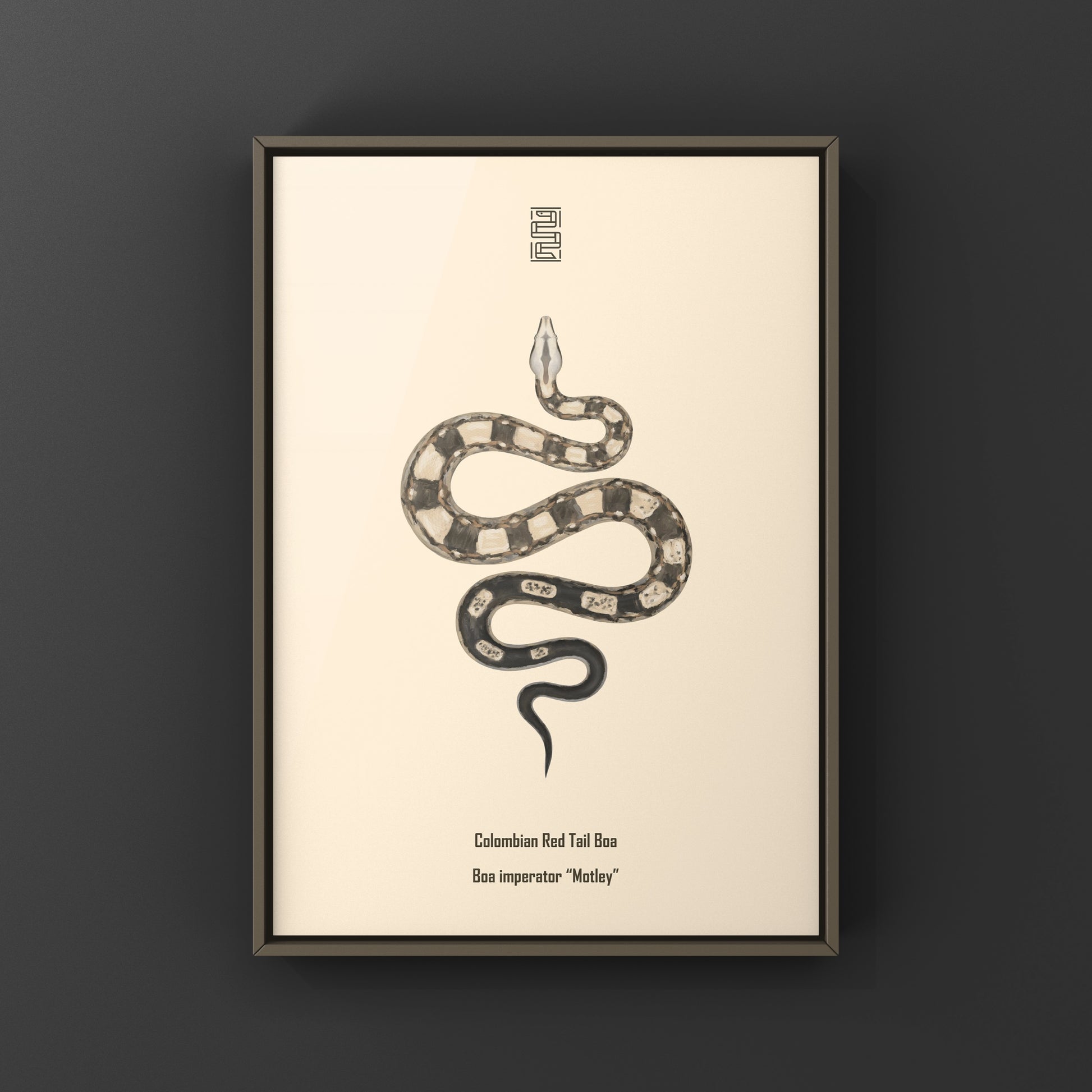 Colorful Motley Colombian Red Tail Boa art print by The Silk Ranch, showcasing detailed red tail boa snake artwork.