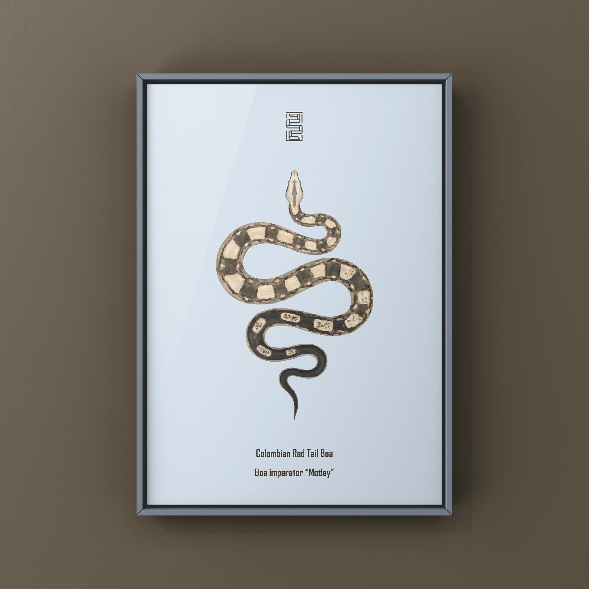 Colorful art print of a Motley Colombian Red Tail Boa (Boa imperator) by The Silk Ranch, showcasing vibrant snake details.