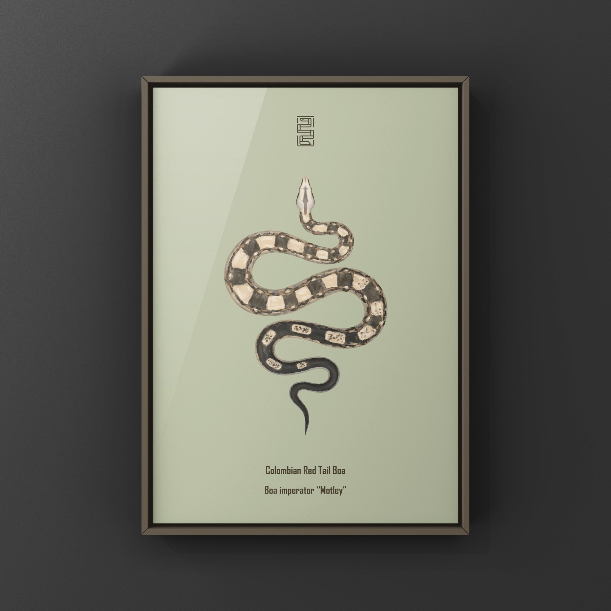 Colorful Motley Colombian Red Tail Boa art print by The Silk Ranch showcasing vibrant serpent details and intricate design.