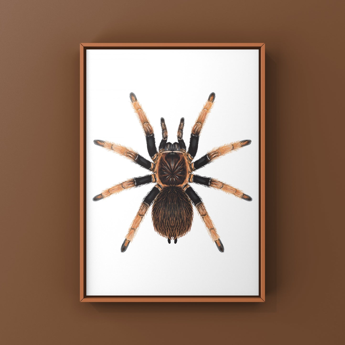 Colorful art print of a Santa Catalina Tarantula (Sericopelma sp.) by The Silk Ranch, showcasing detailed spider illustration.