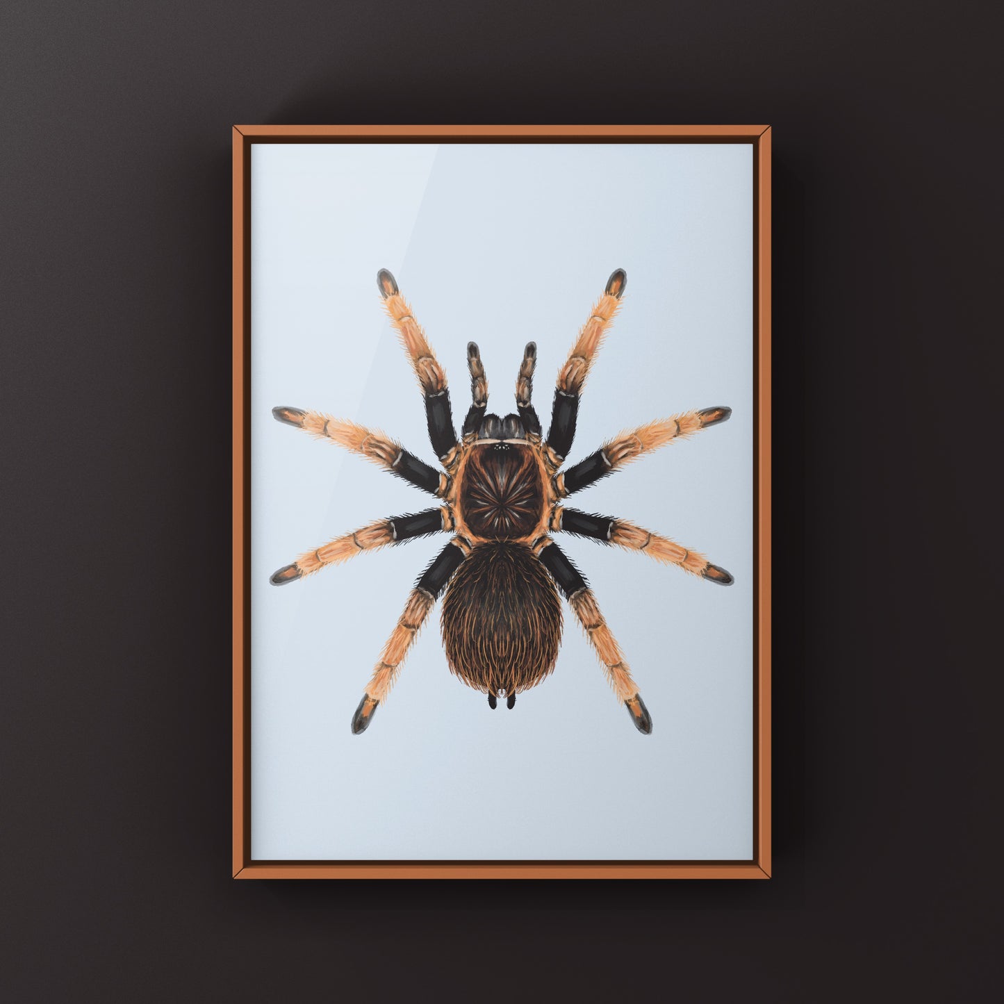 Santa Catalina Tarantula art print by The Silk Ranch featuring detailed illustration of Sericopelma sp. tarantula on textured paper