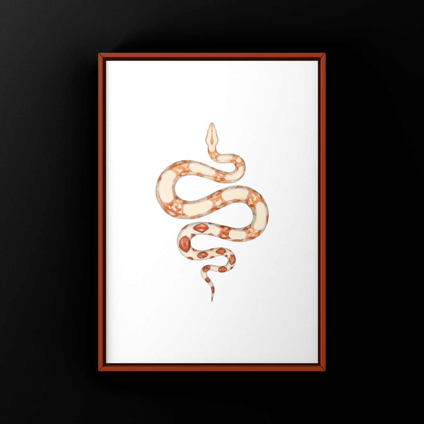 Albino Colombian Red Tail Boa (Boa imperator) Art Print from The Silk Ranch