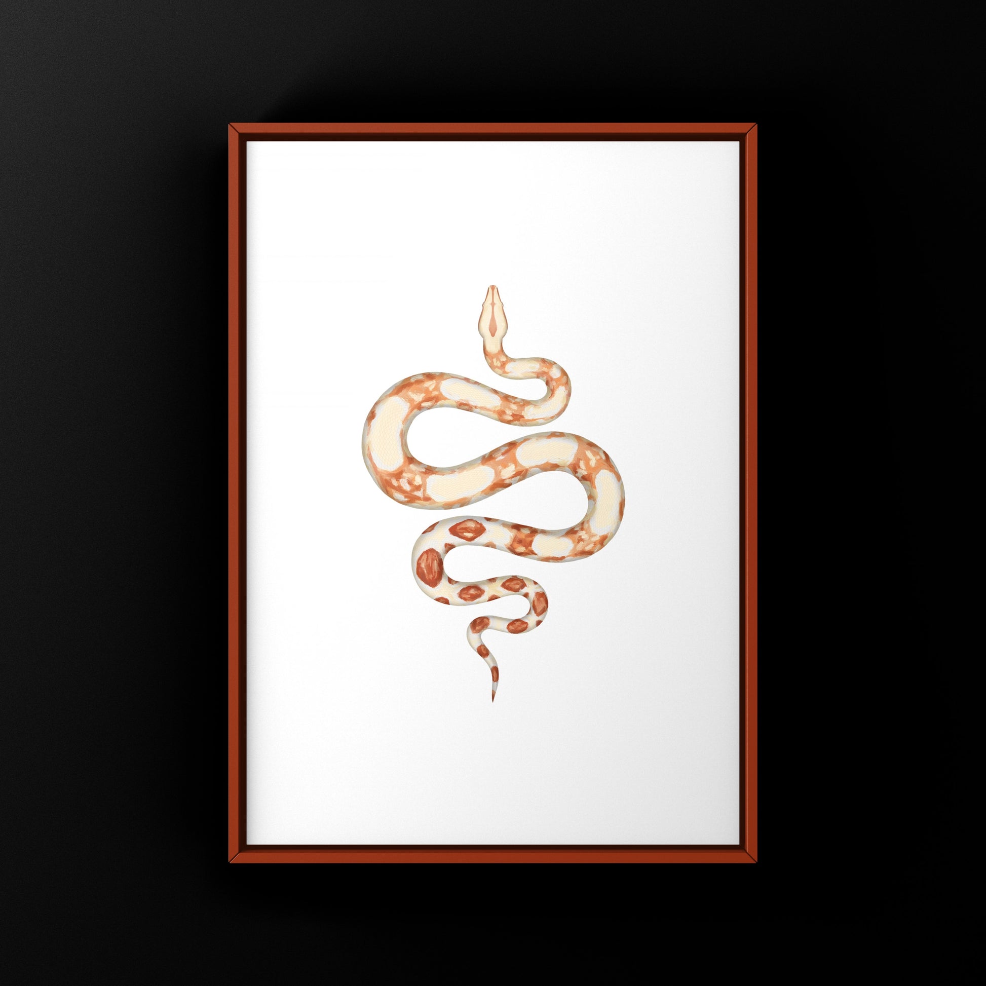 Albino Colombian Red Tail Boa (Boa imperator) Art Print from The Silk Ranch