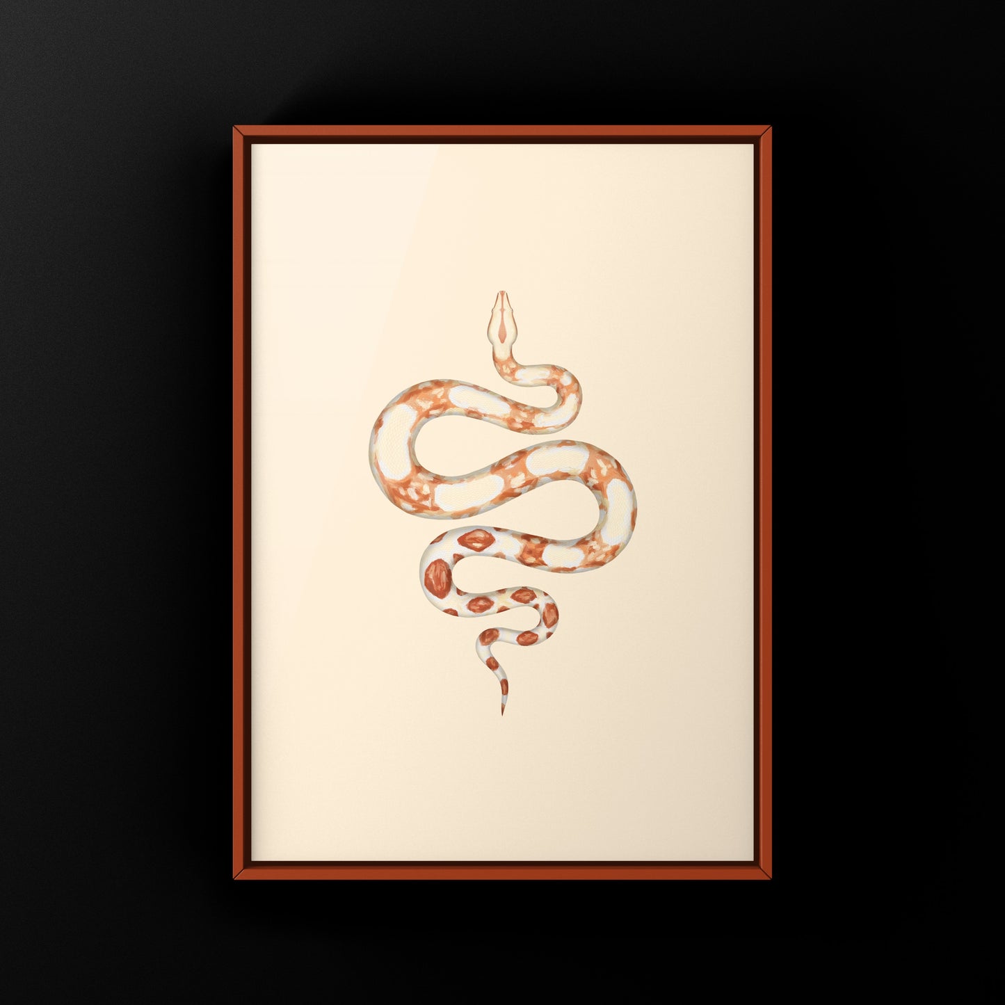 Albino Colombian Red Tail Boa (Boa imperator) Art Print from The Silk Ranch