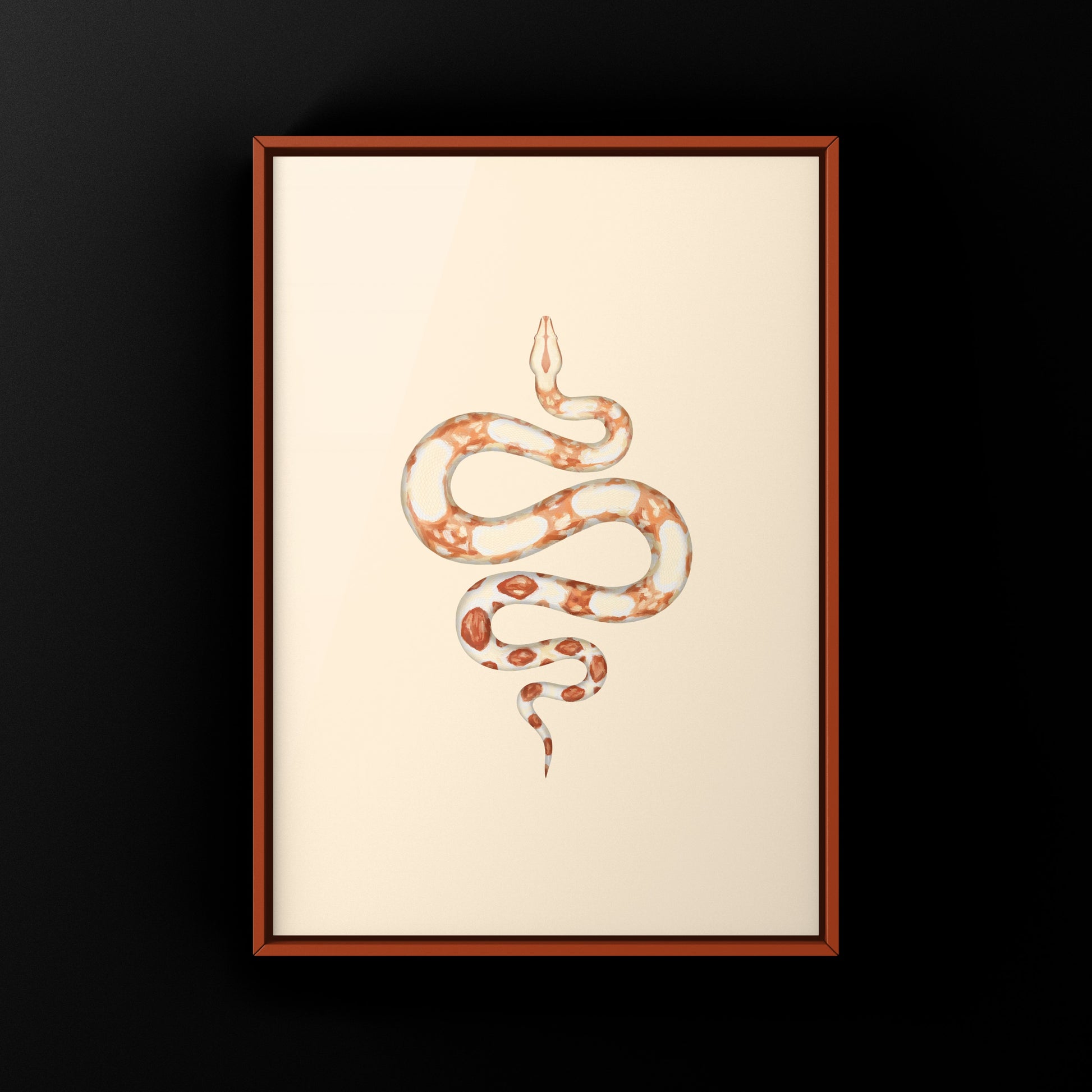 Albino Colombian Red Tail Boa (Boa imperator) Art Print from The Silk Ranch