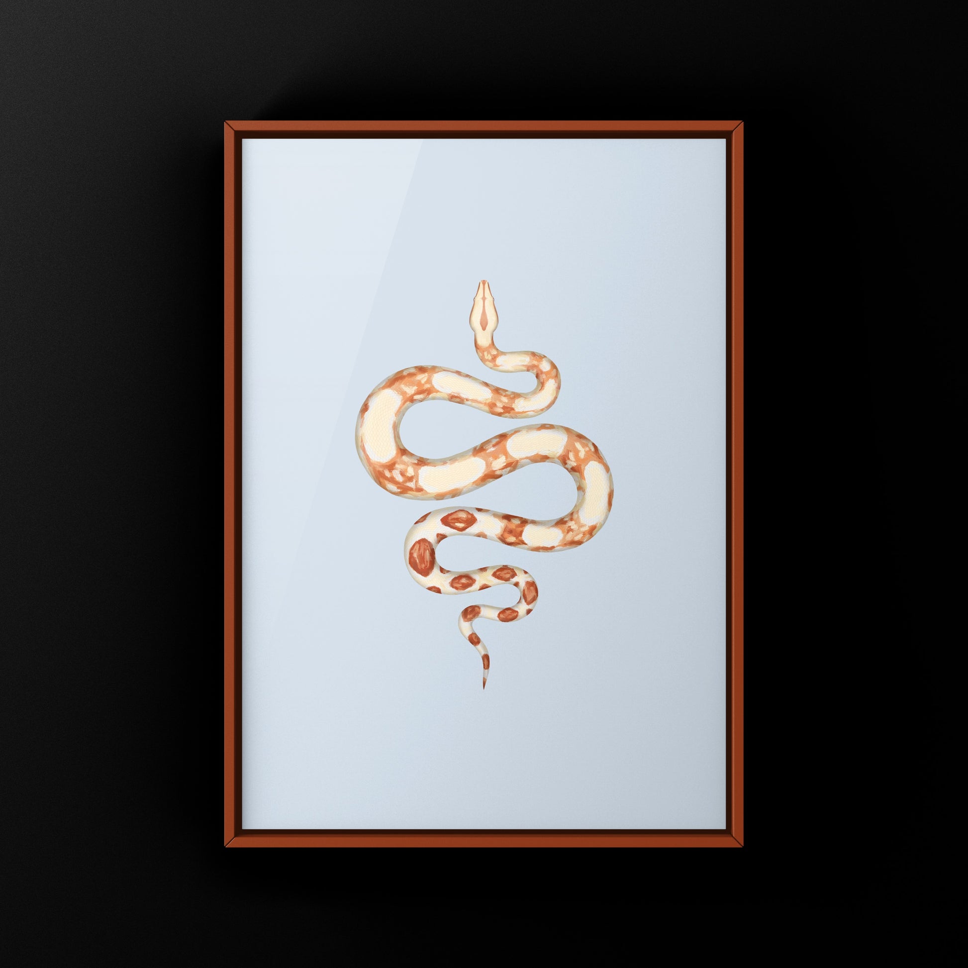 Albino Colombian Red Tail Boa (Boa imperator) Art Print from The Silk Ranch