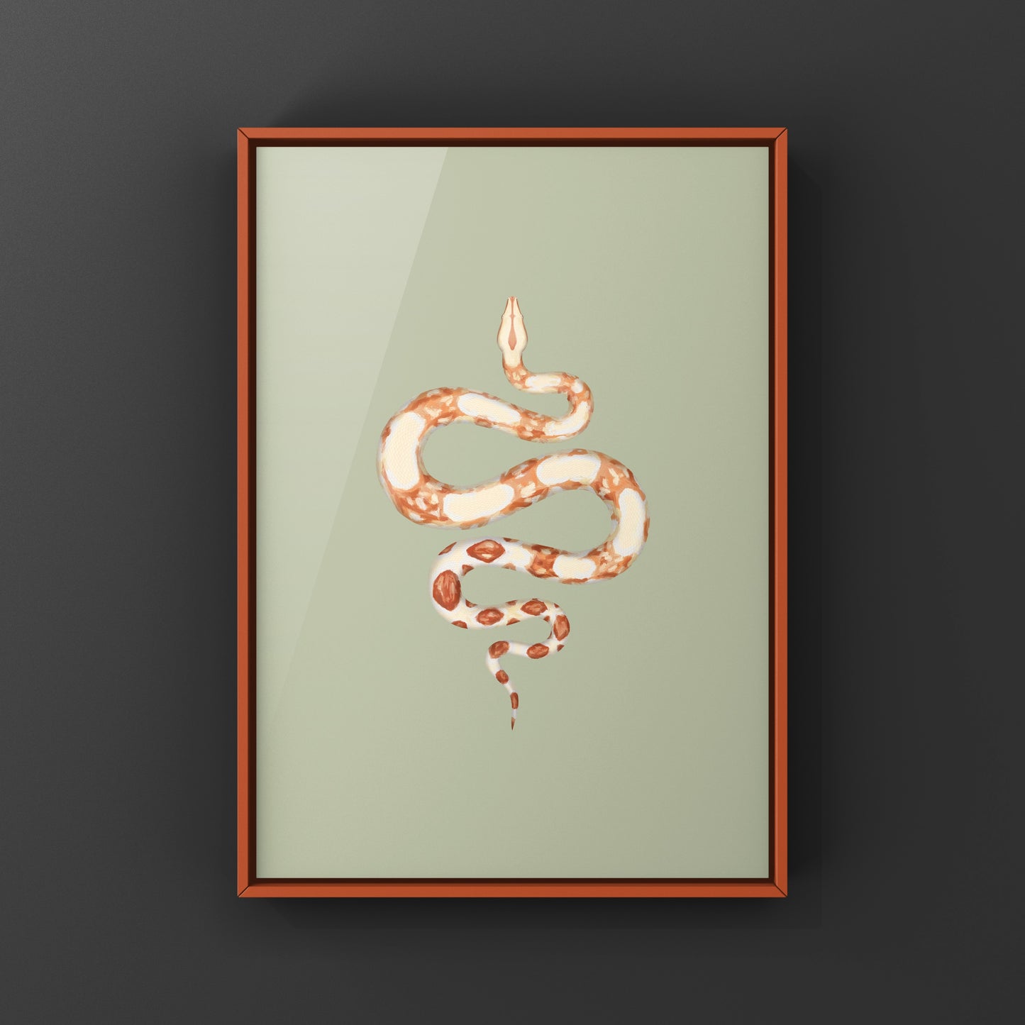 Albino Colombian Red Tail Boa (Boa imperator) Art Print from The Silk Ranch