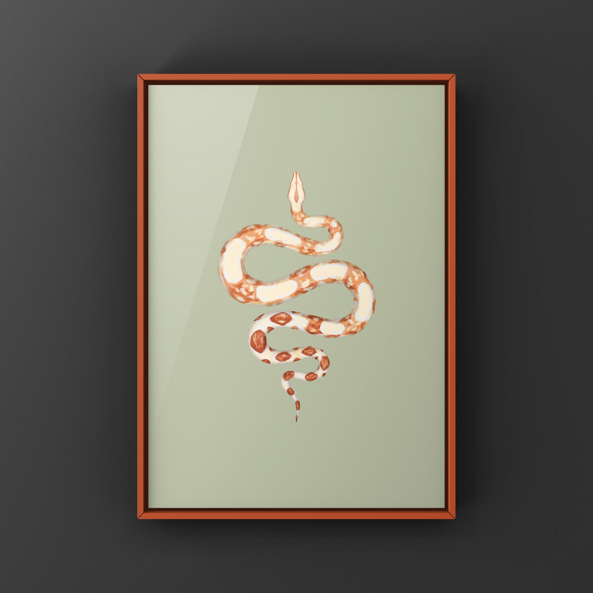 Albino Colombian Red Tail Boa (Boa imperator) Art Print from The Silk Ranch