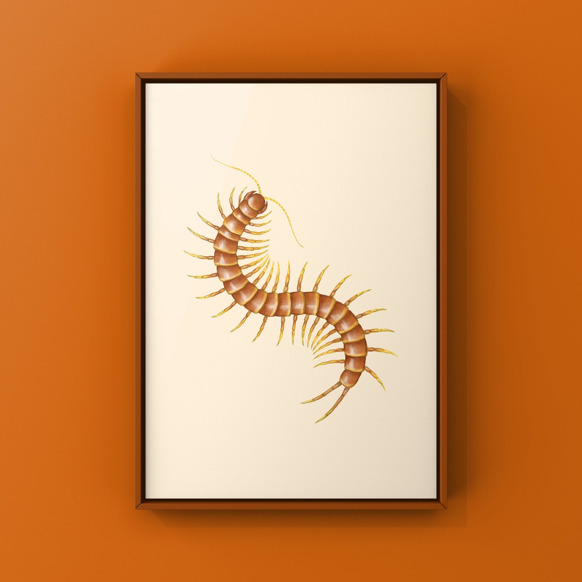 Colorful art print of Darwin’s Goliath Centipede (Scolopendra galapagoensis “Orange”) by The Silk Ranch, showcasing vibrant details.