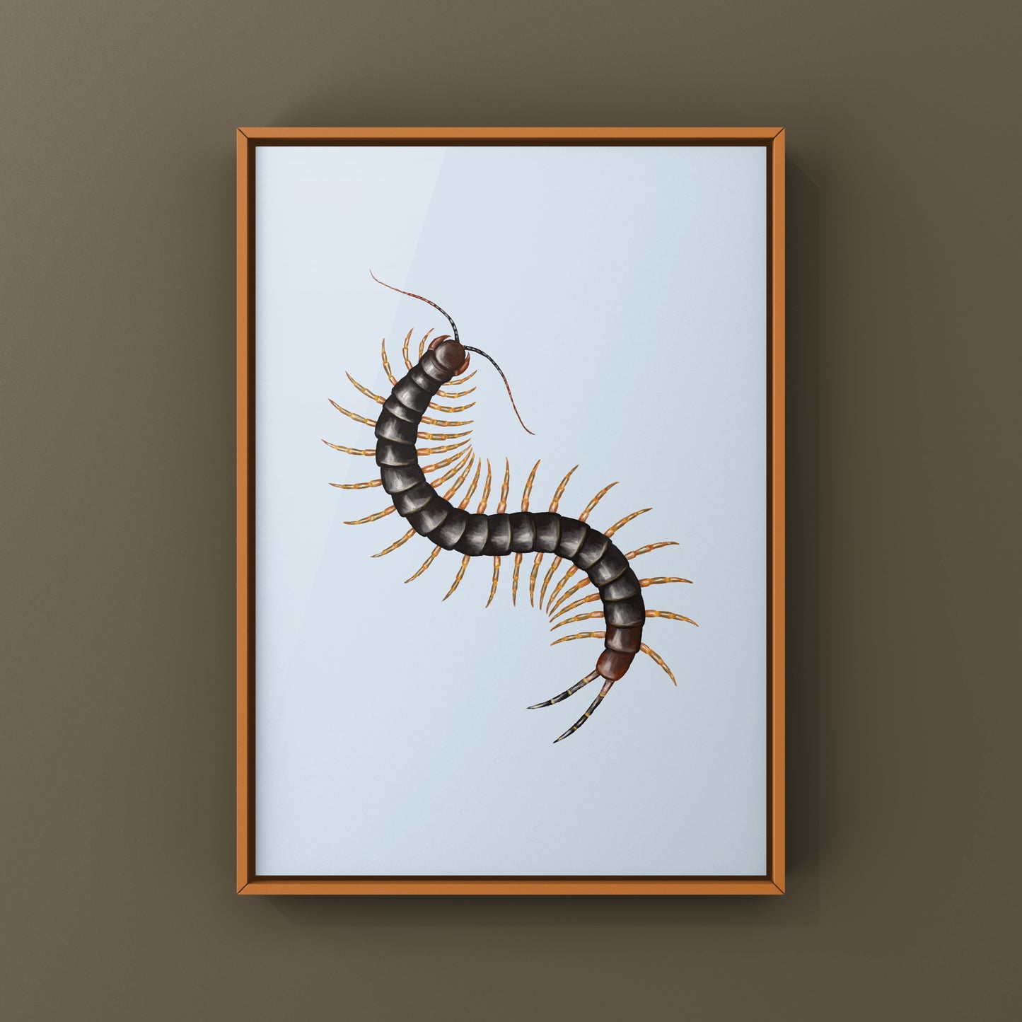 Dark Goliath Centipede art print by The Silk Ranch showcasing a detailed illustration of a Scolopendra galapagoensis on white background