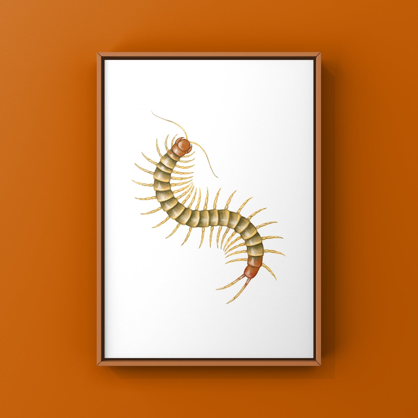 Colorful art print of a juvenile Darwin’s Goliath Centipede (Scolopendra galapagoensis "Orange") by The Silk Ranch