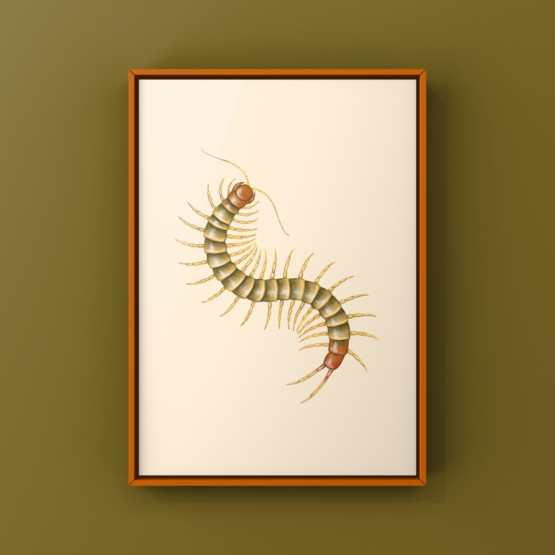 Colorful art print of a juvenile Darwin’s Goliath Centipede (Scolopendra galapagoensis "Orange") by The Silk Ranch.