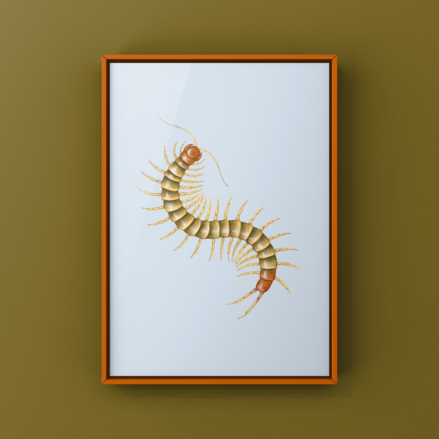 Colorful art print of a juvenile Darwin’s Goliath Centipede (Scolopendra galapagoensis "Orange") captured in detailed illustration.