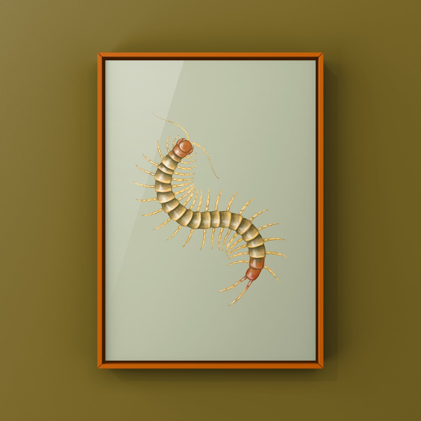 Juvenile Goliath Centipede art print showing an orange Scolopendra galapagoensis with detailed legs and vibrant coloration.