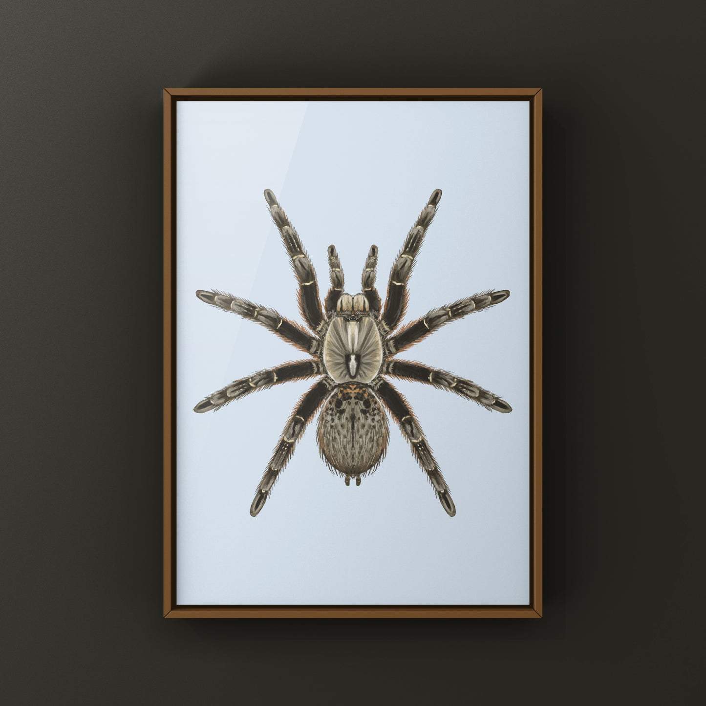 Rear Horned Baboon Tarantula (Ceratogyrus darlingi) Art Print from The Silk Ranch