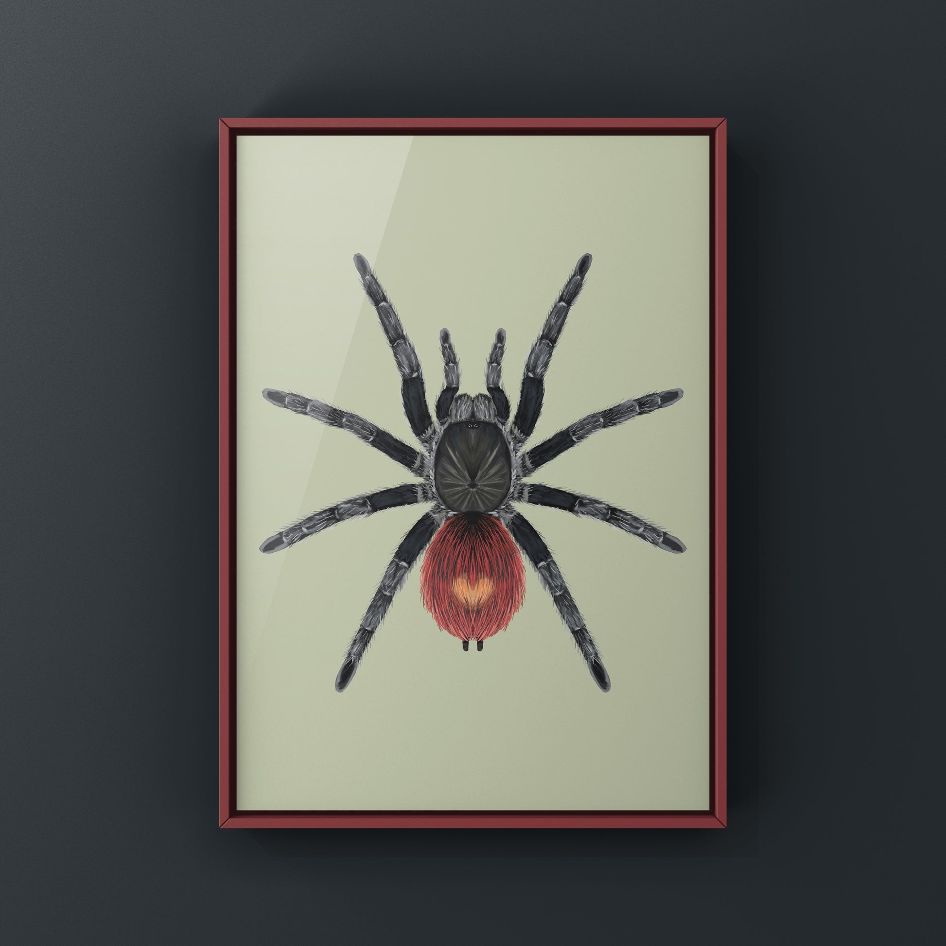 Peruvian Flame Rump Tarantula art print showcasing vibrant orange and black colors on high-quality paper.