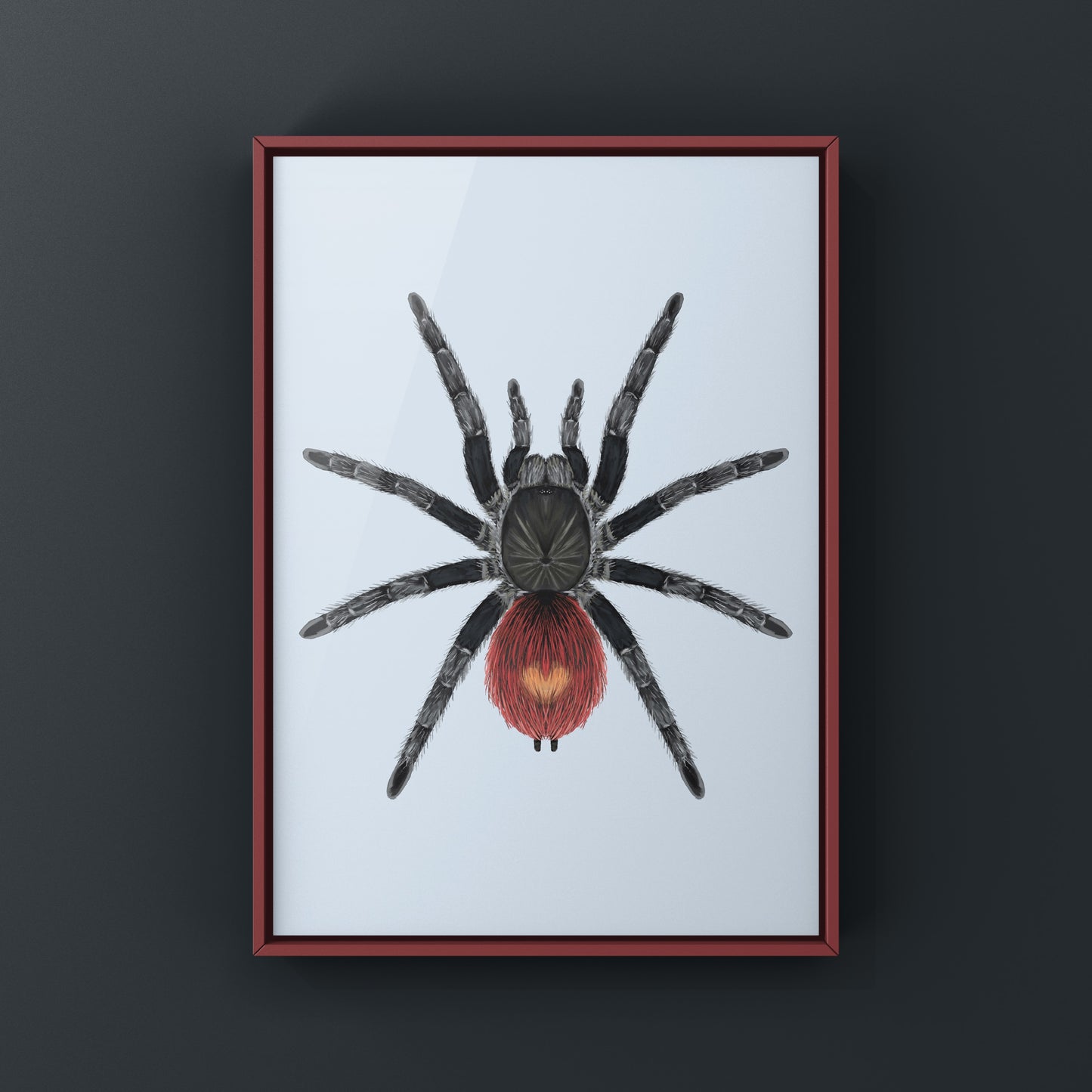Peruvian Flame Rump Tarantula art print featuring detailed illustration of Thrixopelma ockerti by The Silk Ranch