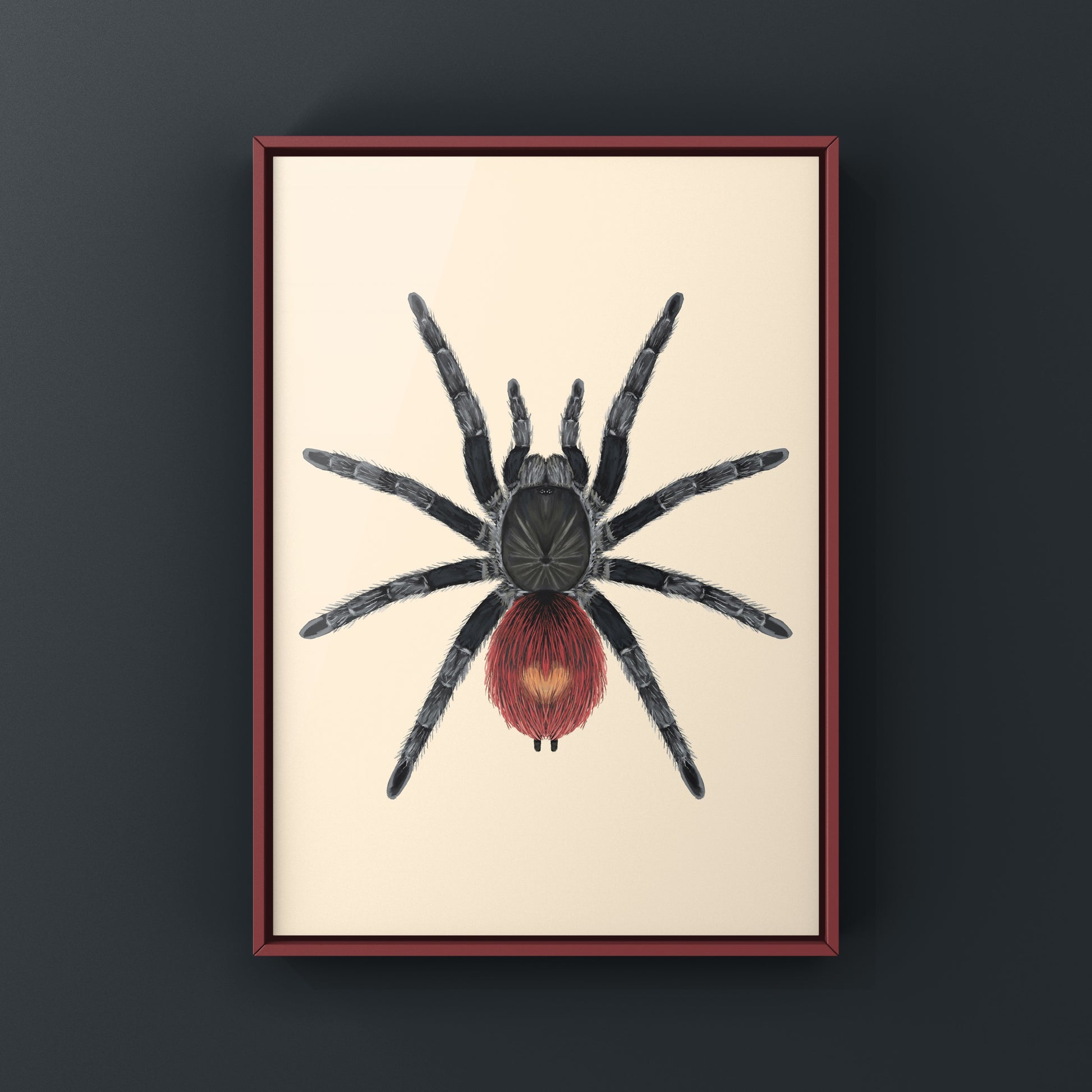 Peruvian Flame Rump Tarantula Thrixopelma ockerti art print featuring detailed illustration of the tarantula's vibrant colors and intricate patterns