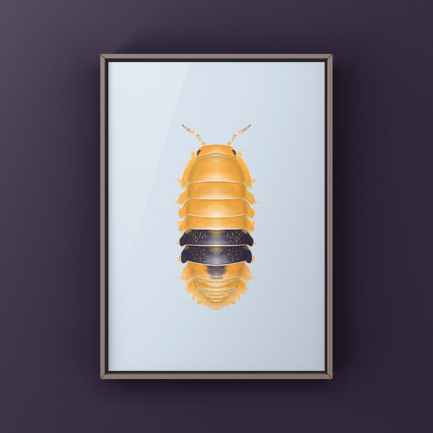 Amber Ducky Isopod art print featuring detailed illustration of Cubaris sp. Amber Ducky by The Silk Ranch.