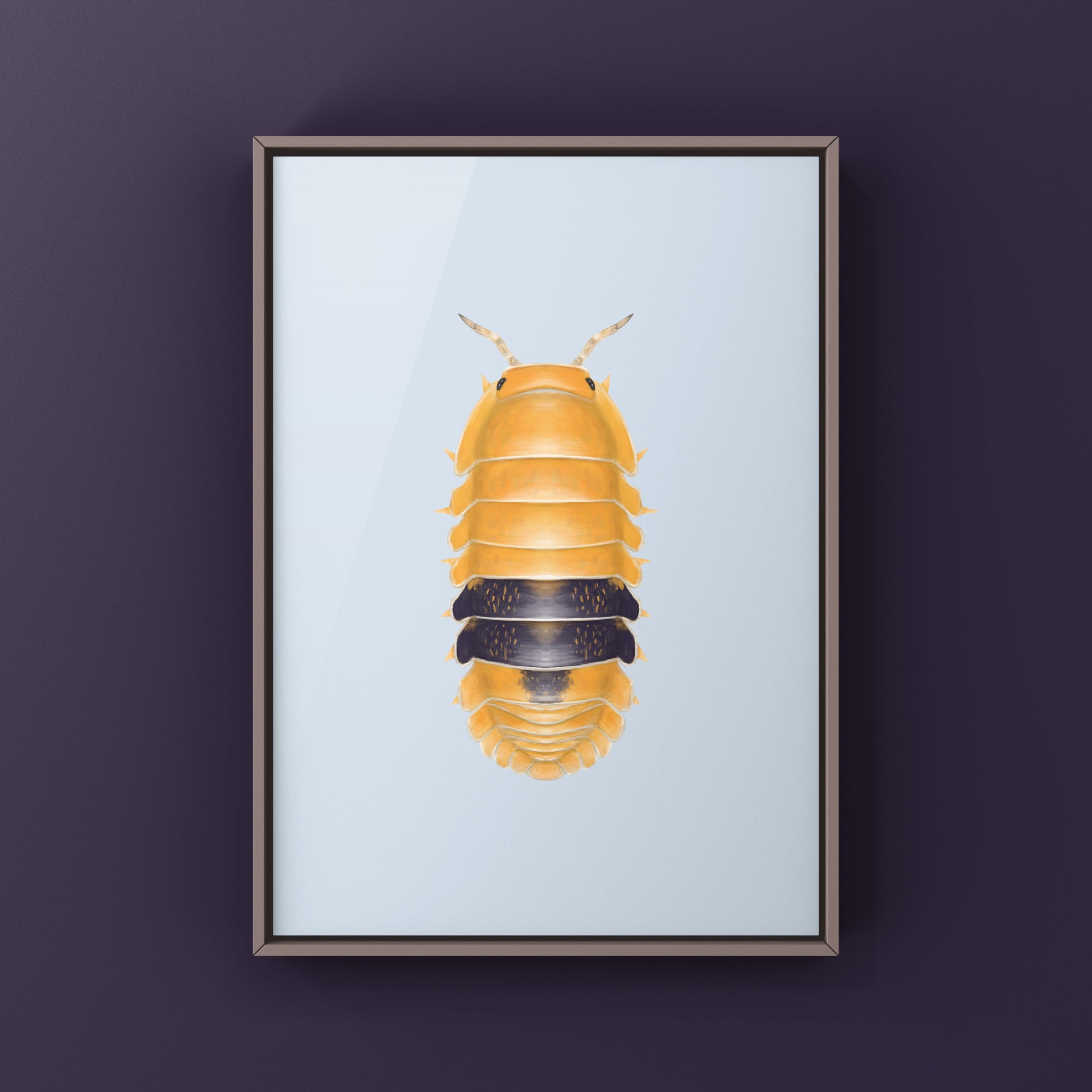 Amber Ducky Isopod art print featuring detailed illustration of Cubaris sp. Amber Ducky by The Silk Ranch.
