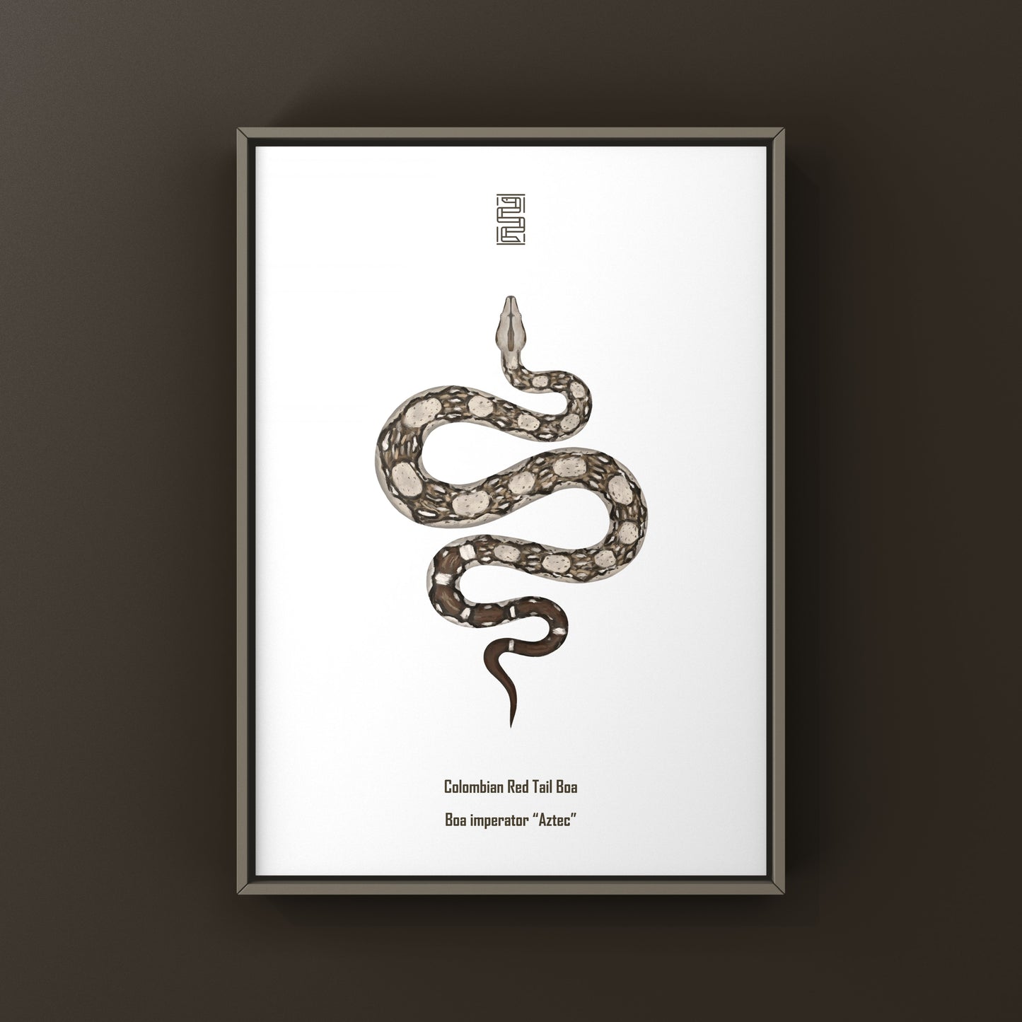 Aztec Colombian Red Tail Boa art print by The Silk Ranch featuring detailed artwork of the Boa imperator species.
