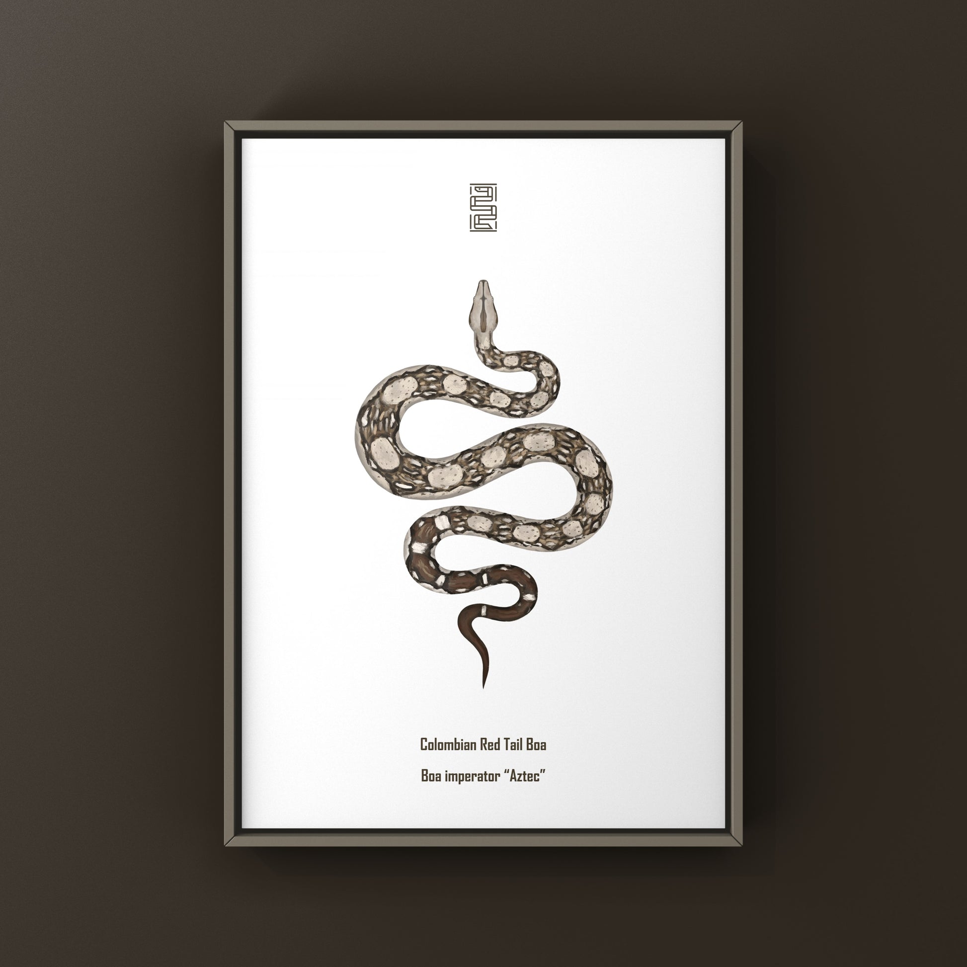 Aztec Colombian Red Tail Boa art print by The Silk Ranch featuring detailed artwork of the Boa imperator species.