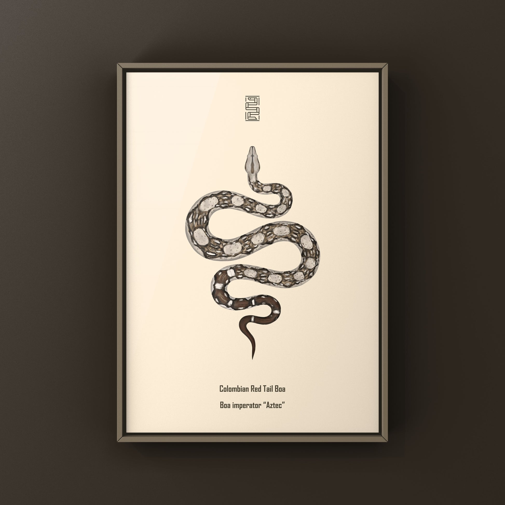 Colorful Aztec Colombian Red Tail Boa art print showcasing vibrant snake artwork by The Silk Ranch.