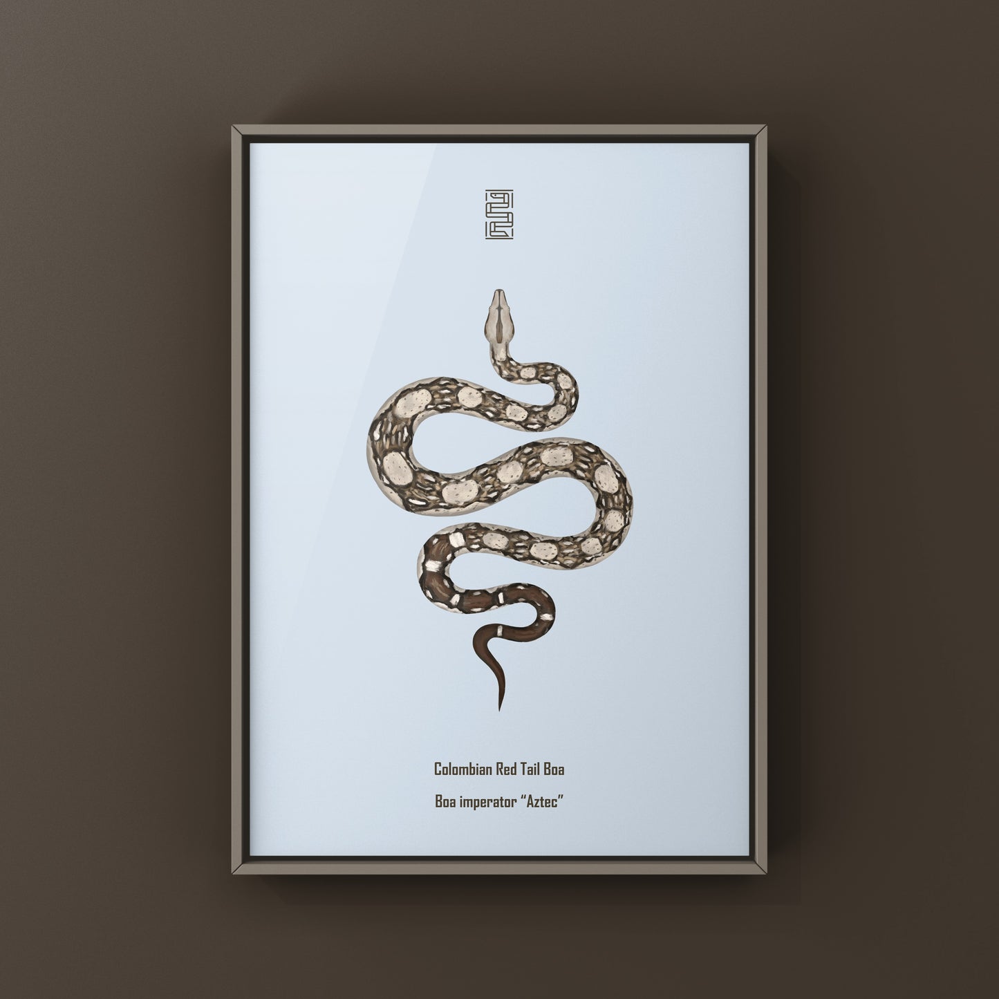 Aztec Colombian Red Tail Boa art print featuring detailed illustrations of the Boa imperator species by The Silk Ranch.