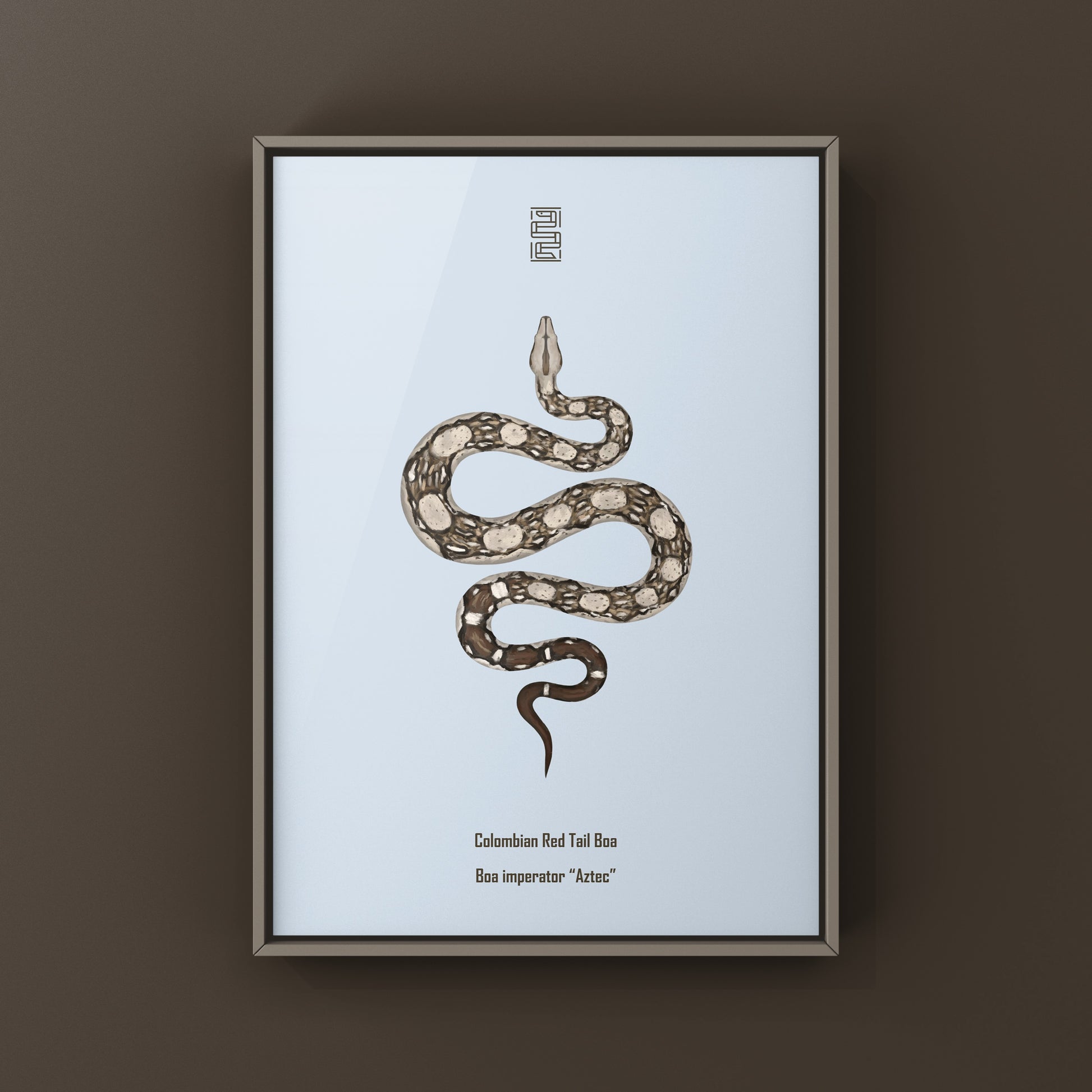 Aztec Colombian Red Tail Boa art print featuring detailed illustrations of the Boa imperator species by The Silk Ranch.