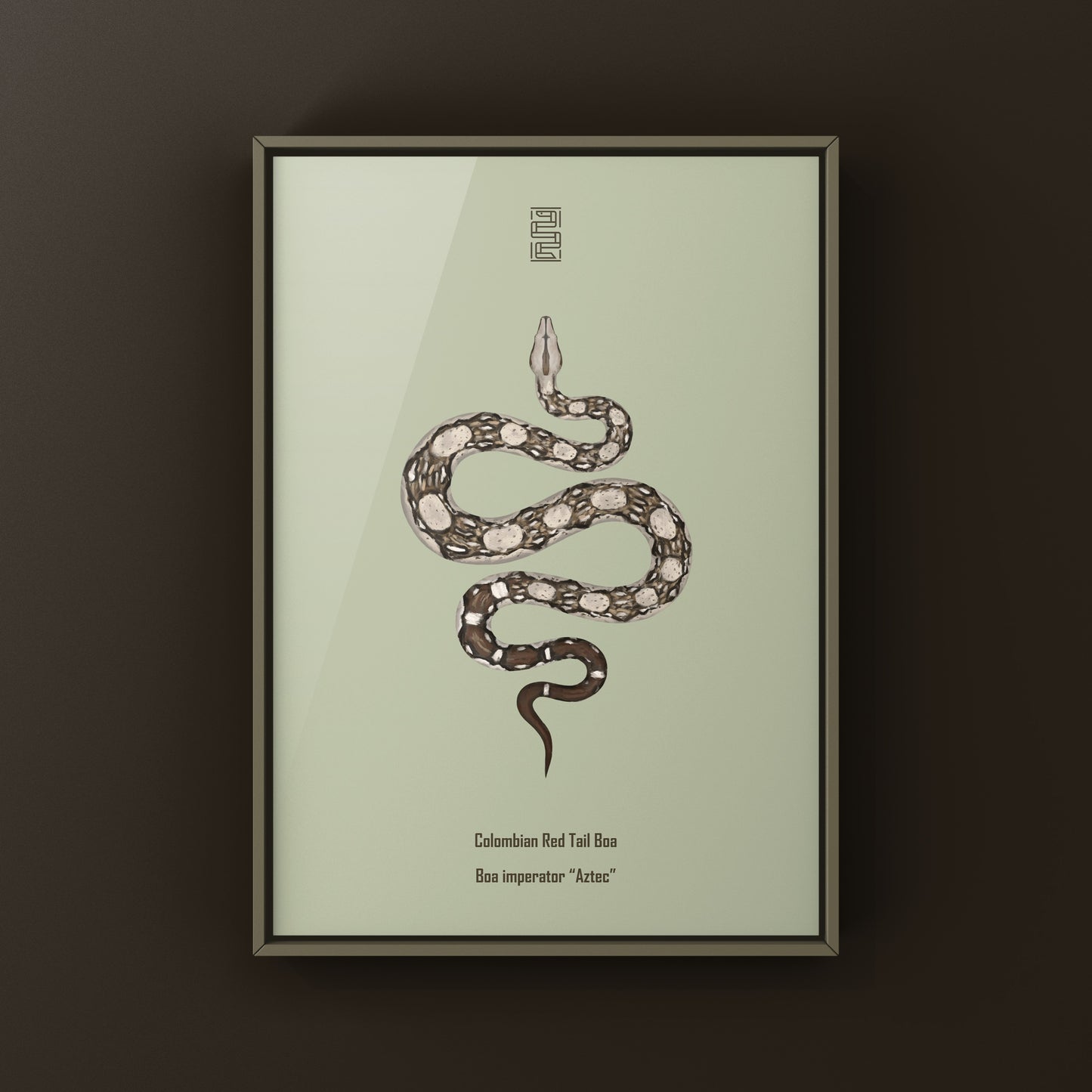 Aztec Colombian Red Tail Boa art print featuring detailed illustration of Boa imperator with vibrant red tail, by The Silk Ranch.
