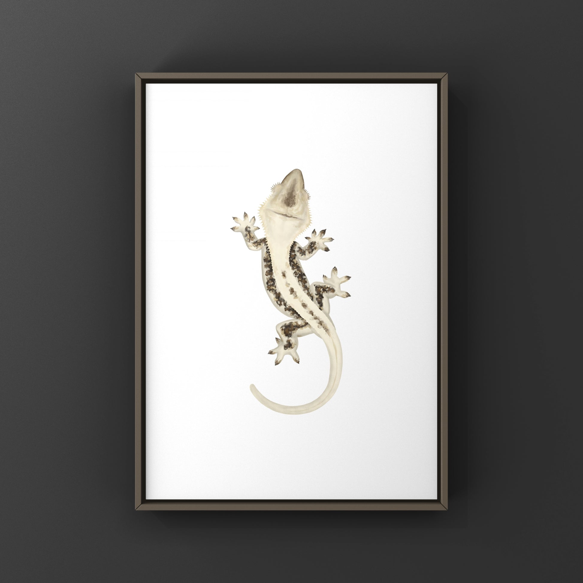 Lily White Crested Gecko art print by The Silk Ranch showing detailed illustration of a crested gecko on white background.