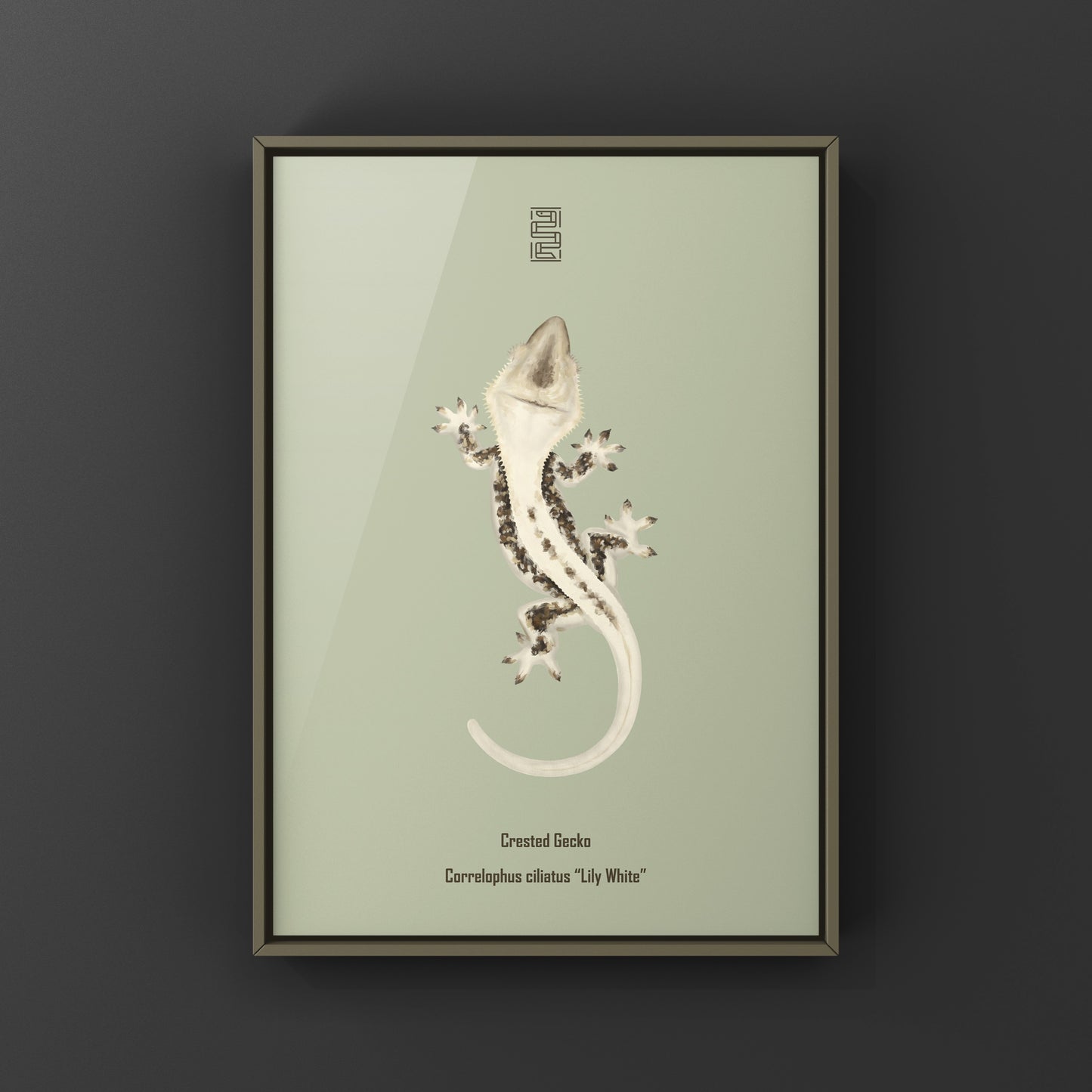 Lily White Crested Gecko art print by The Silk Ranch featuring detailed illustration of a white crested gecko on textured paper.