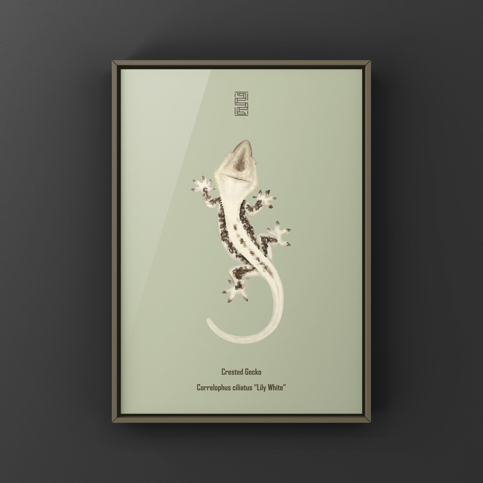 Lily White Crested Gecko art print by The Silk Ranch featuring detailed illustration of a white crested gecko on textured paper.