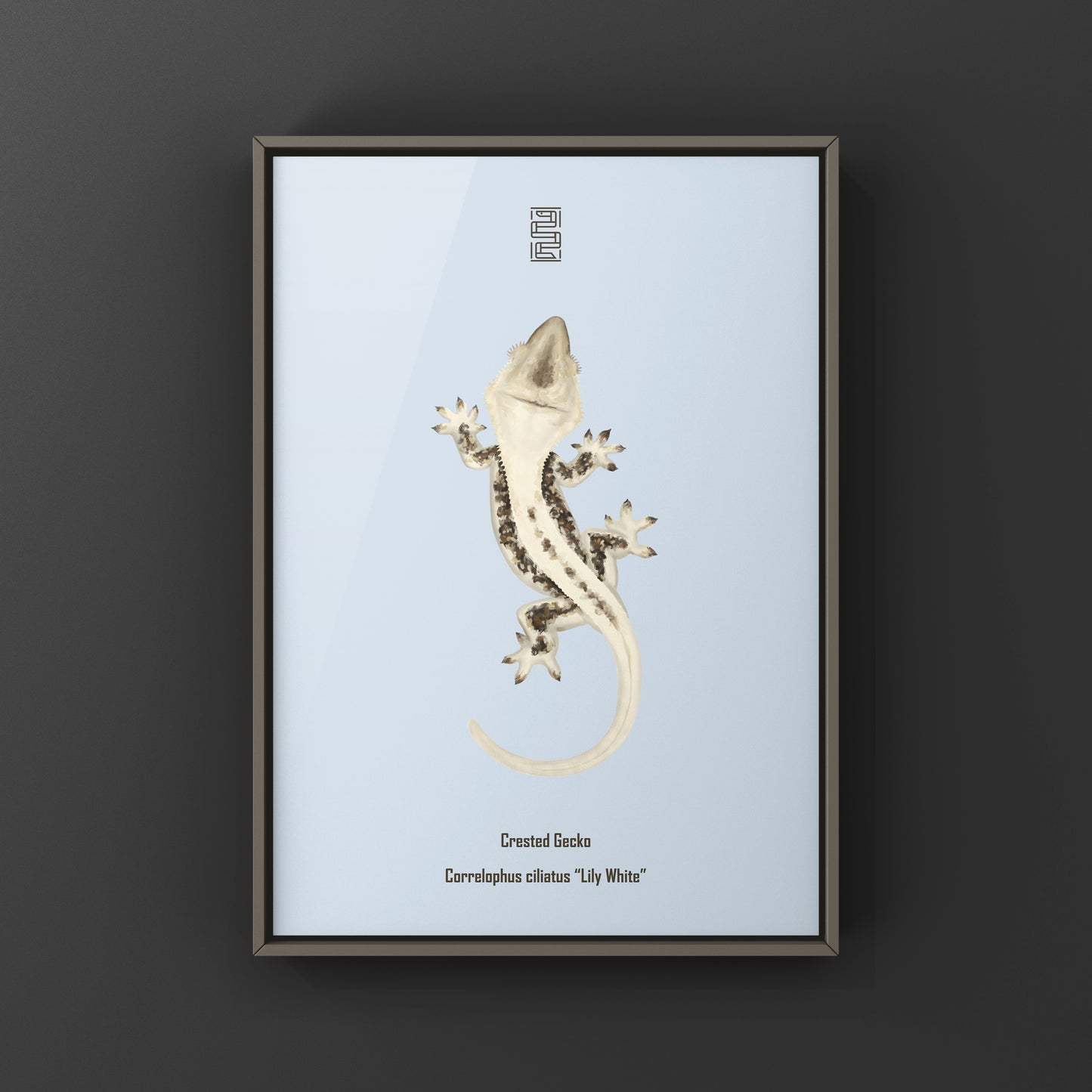 Lily white crested gecko art print by The Silk Ranch showcasing a detailed illustration of the reptile on textured paper.