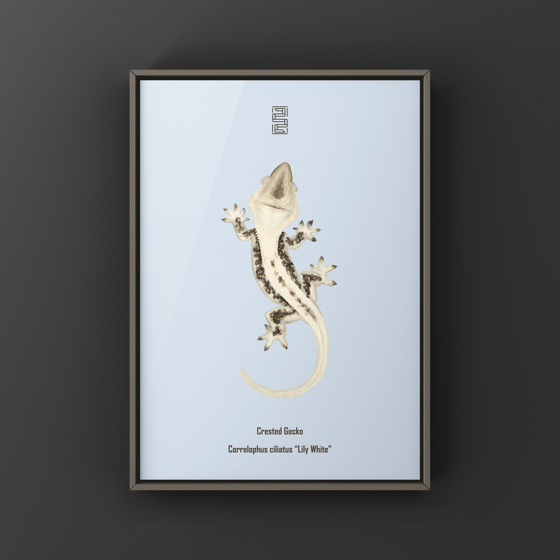 Lily white crested gecko art print by The Silk Ranch showcasing a detailed illustration of the reptile on textured paper.