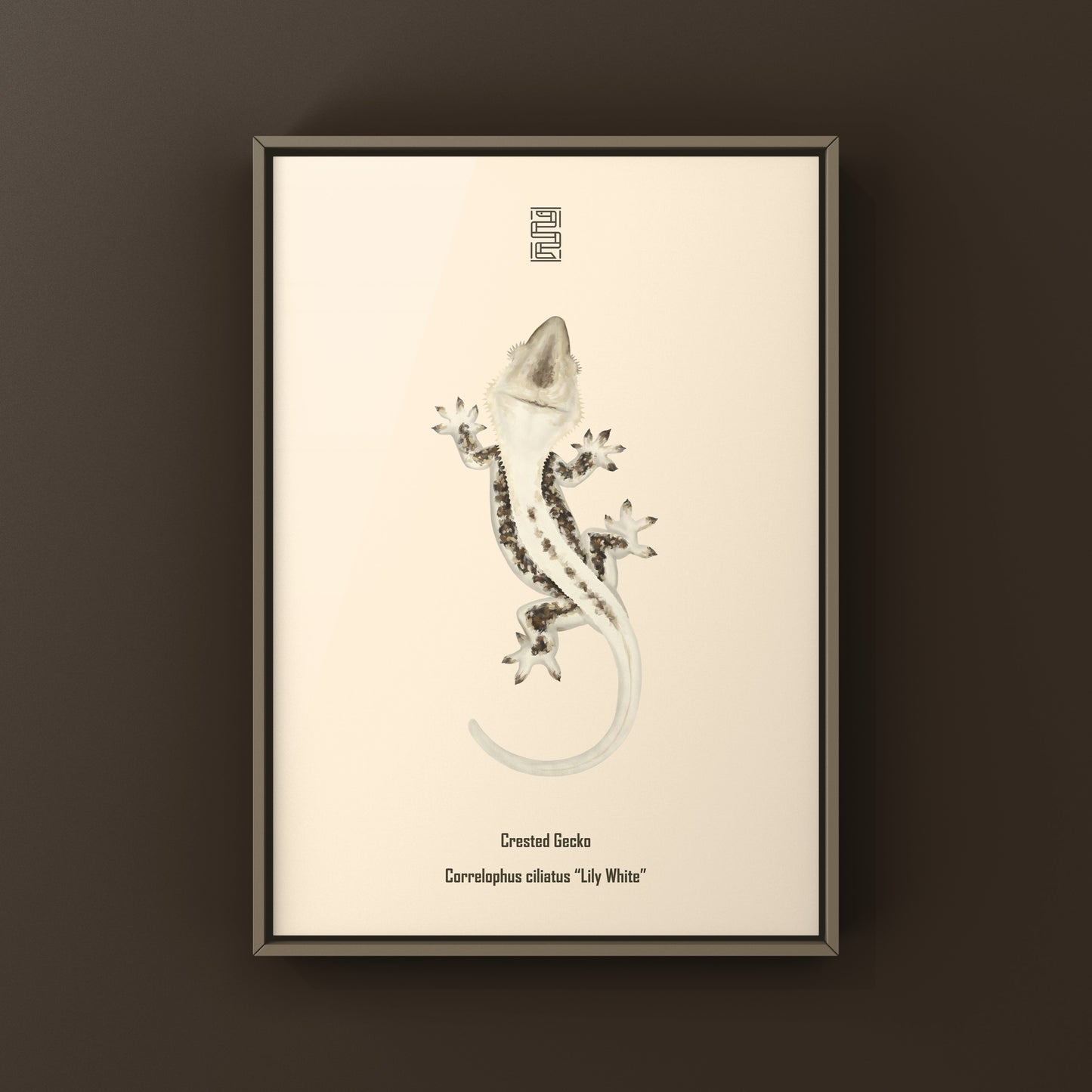 Lily white crested gecko art print by The Silk Ranch showing detailed illustration of the reptile on a white background.