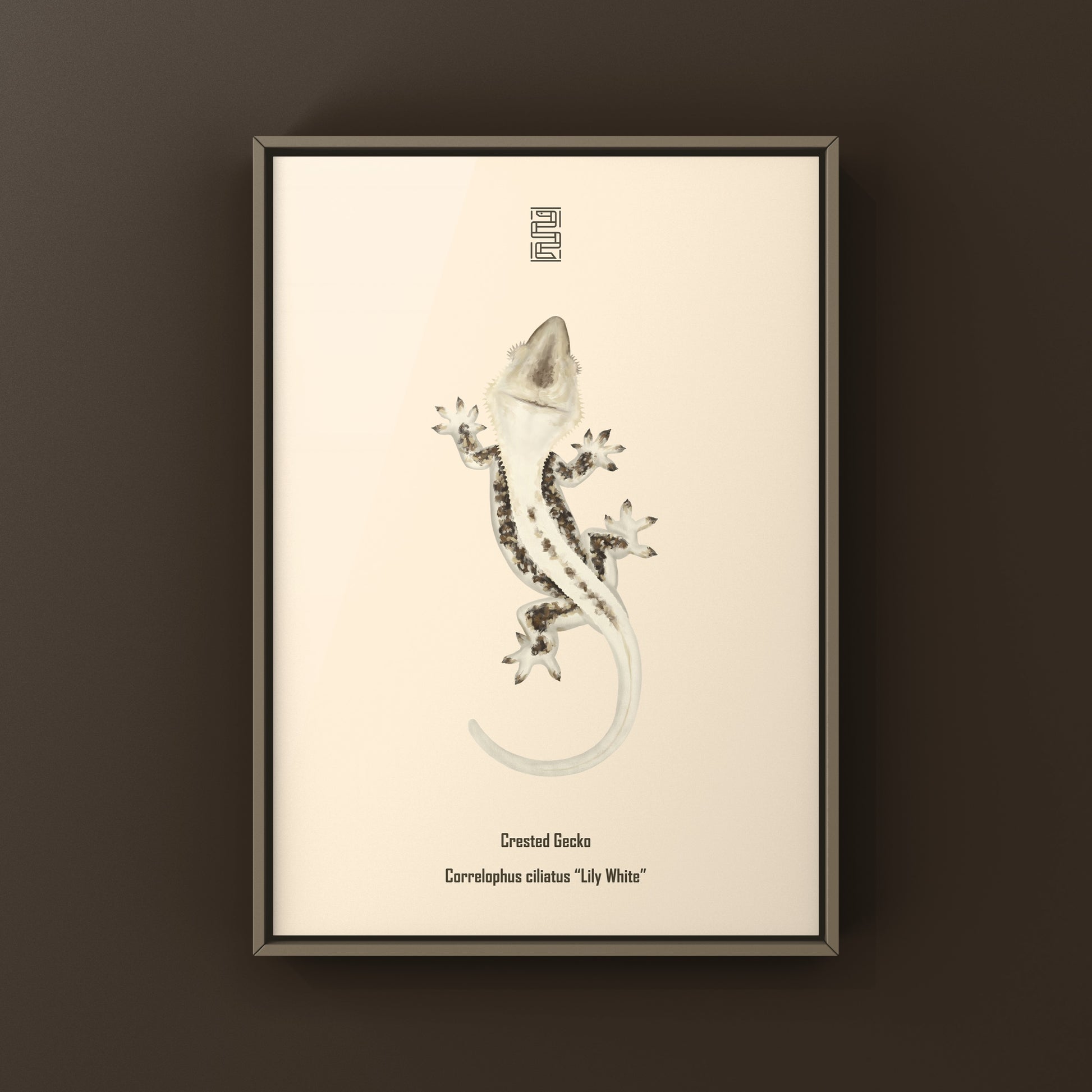 Lily white crested gecko art print by The Silk Ranch showing detailed illustration of the reptile on a white background.