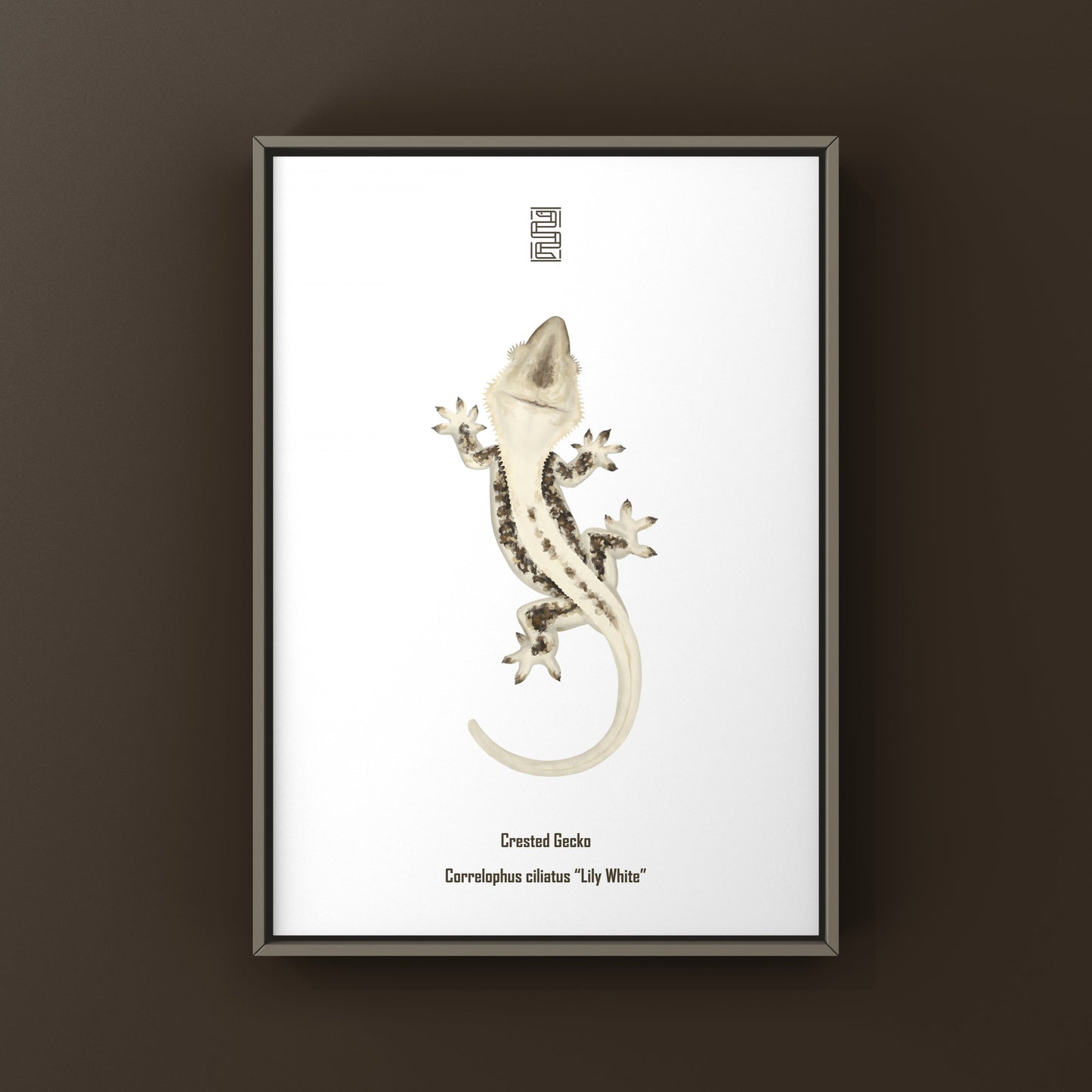 Lily White Crested Gecko art print featuring detailed illustration of a crested gecko on white background