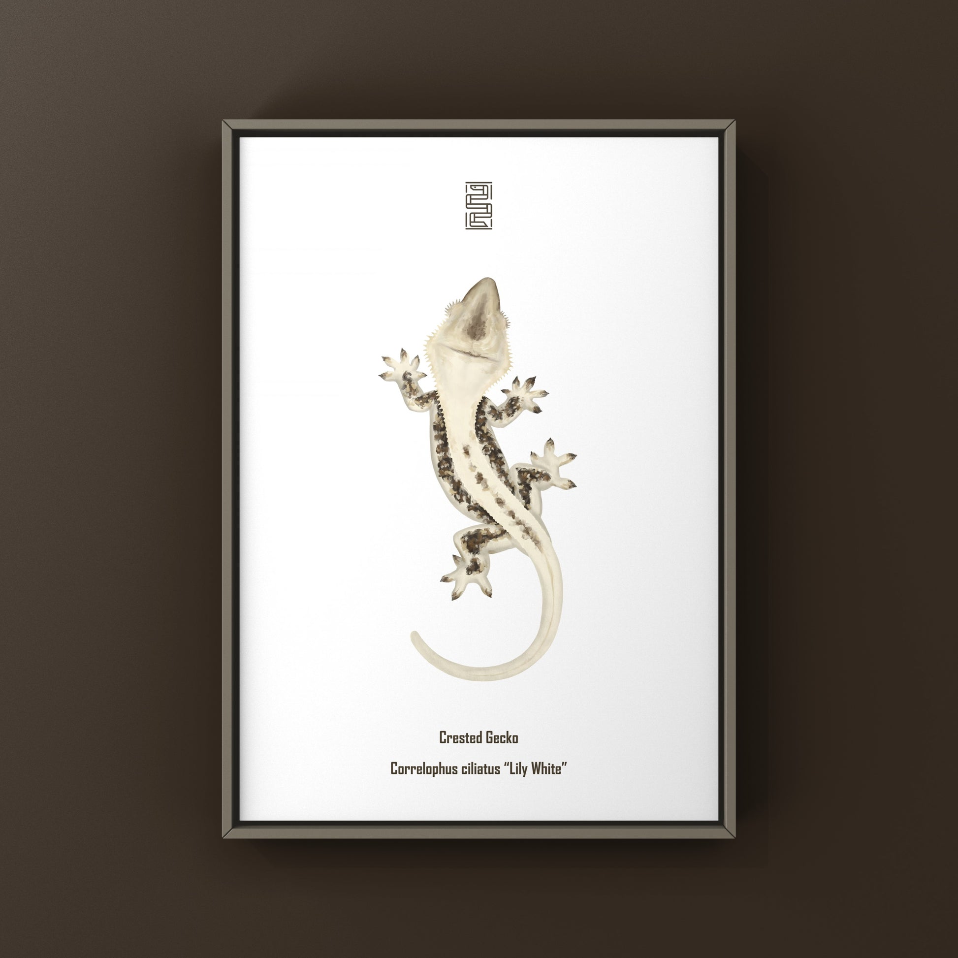 Lily White Crested Gecko art print featuring detailed illustration of a crested gecko on white background