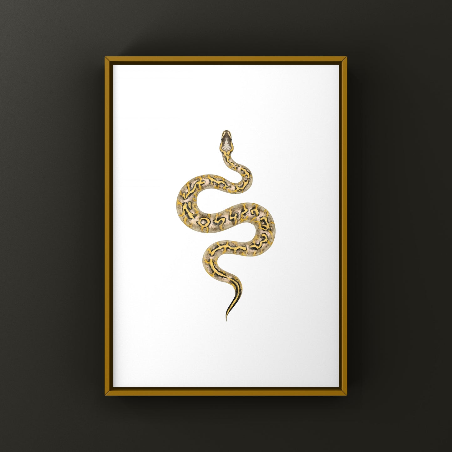 Pastel Freeway Gravel Ball Python art print featuring detailed illustration of Python regius on textured paper