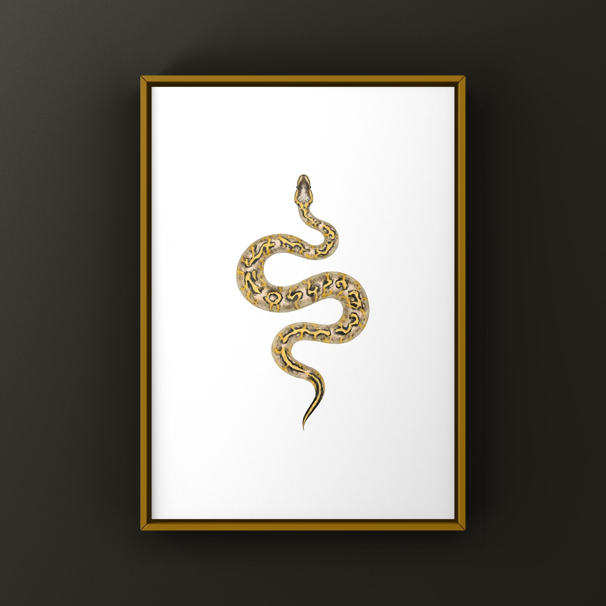 Pastel Freeway Gravel Ball Python art print featuring detailed illustration of Python regius on textured paper