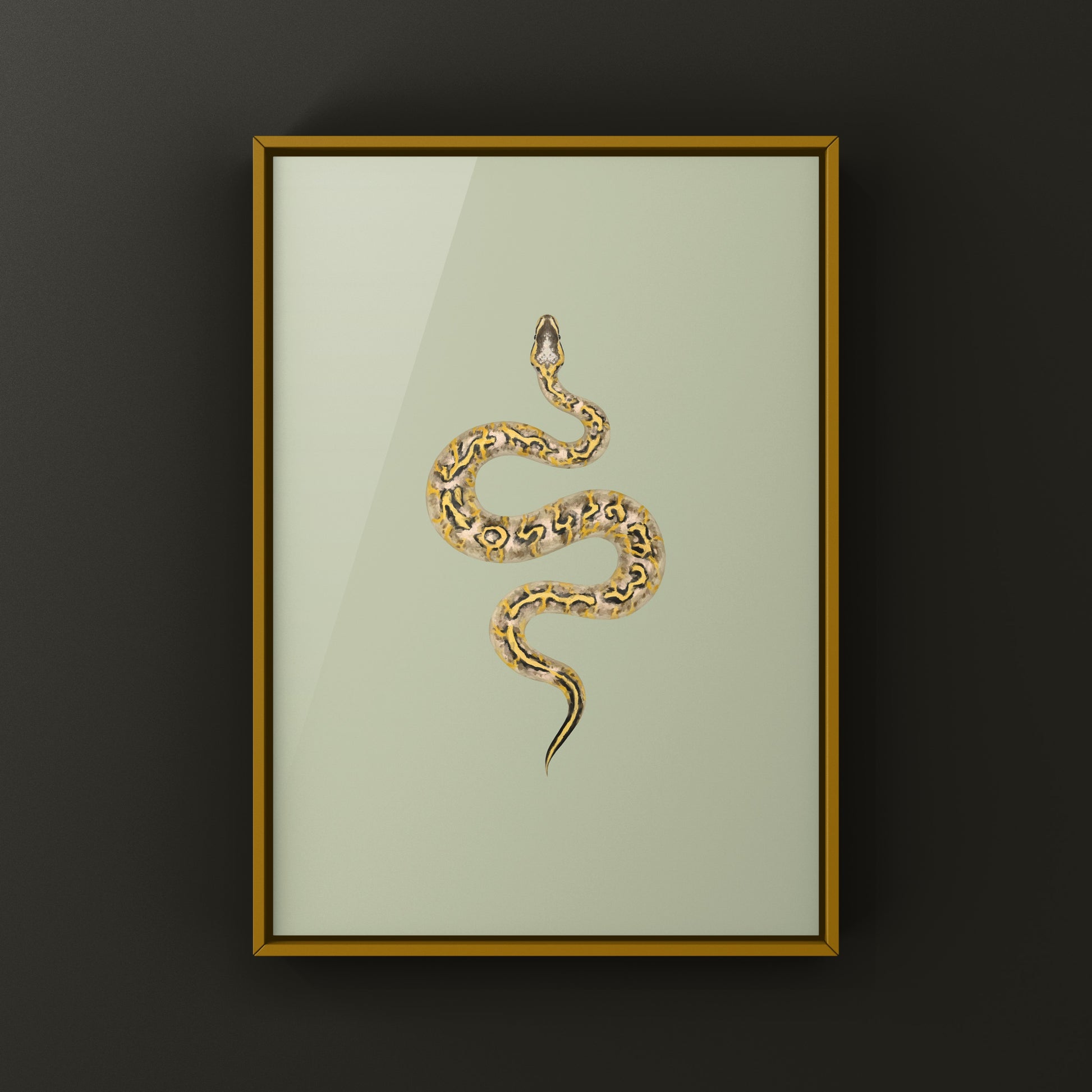 Pastel Freeway Gravel Ball Python art print by The Silk Ranch showing detailed snake illustration on a white background.