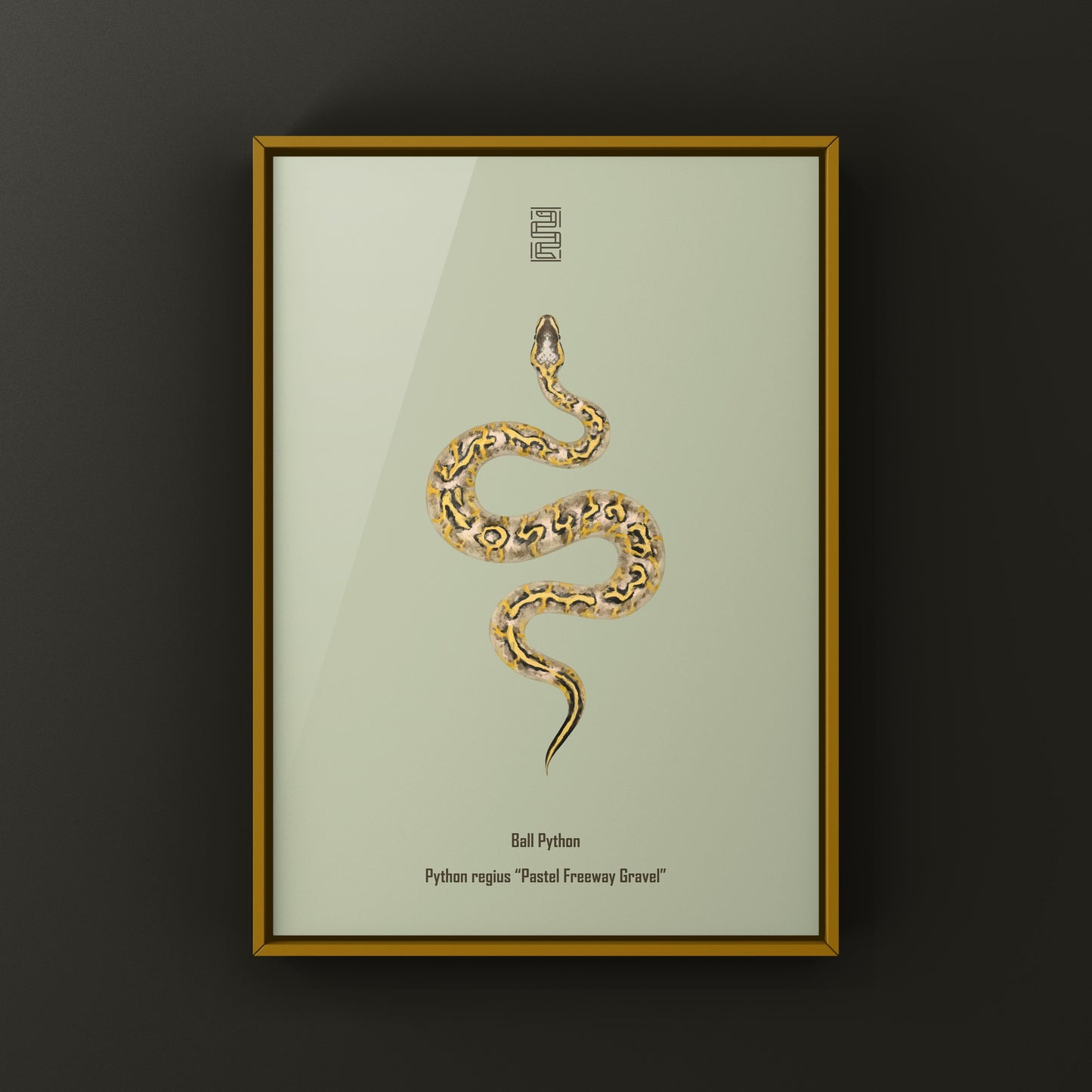 Pastel Freeway Gravel Ball Python art print by The Silk Ranch, featuring detailed reptile illustration on high-quality paper.